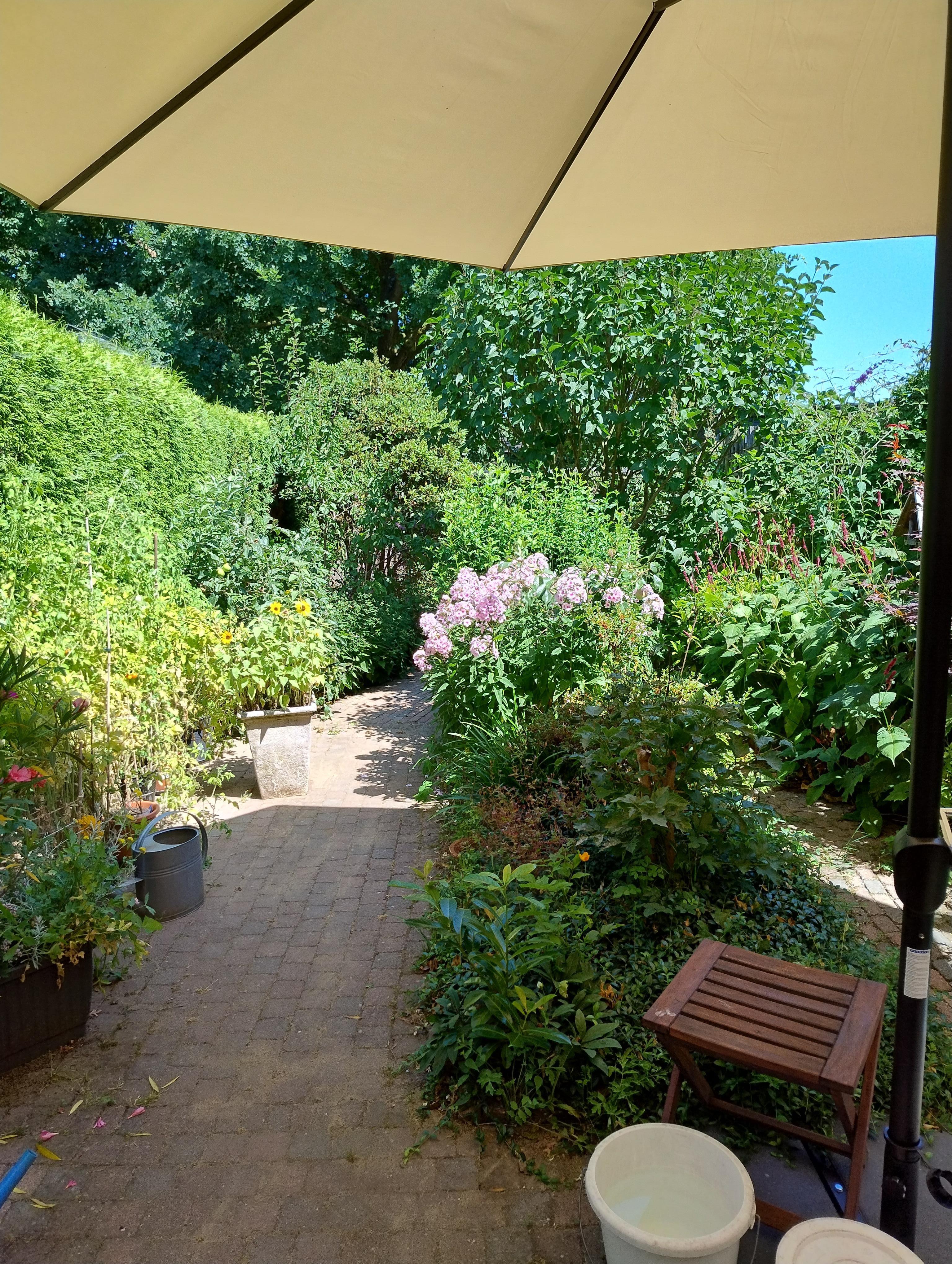 Notenboomstraat 26