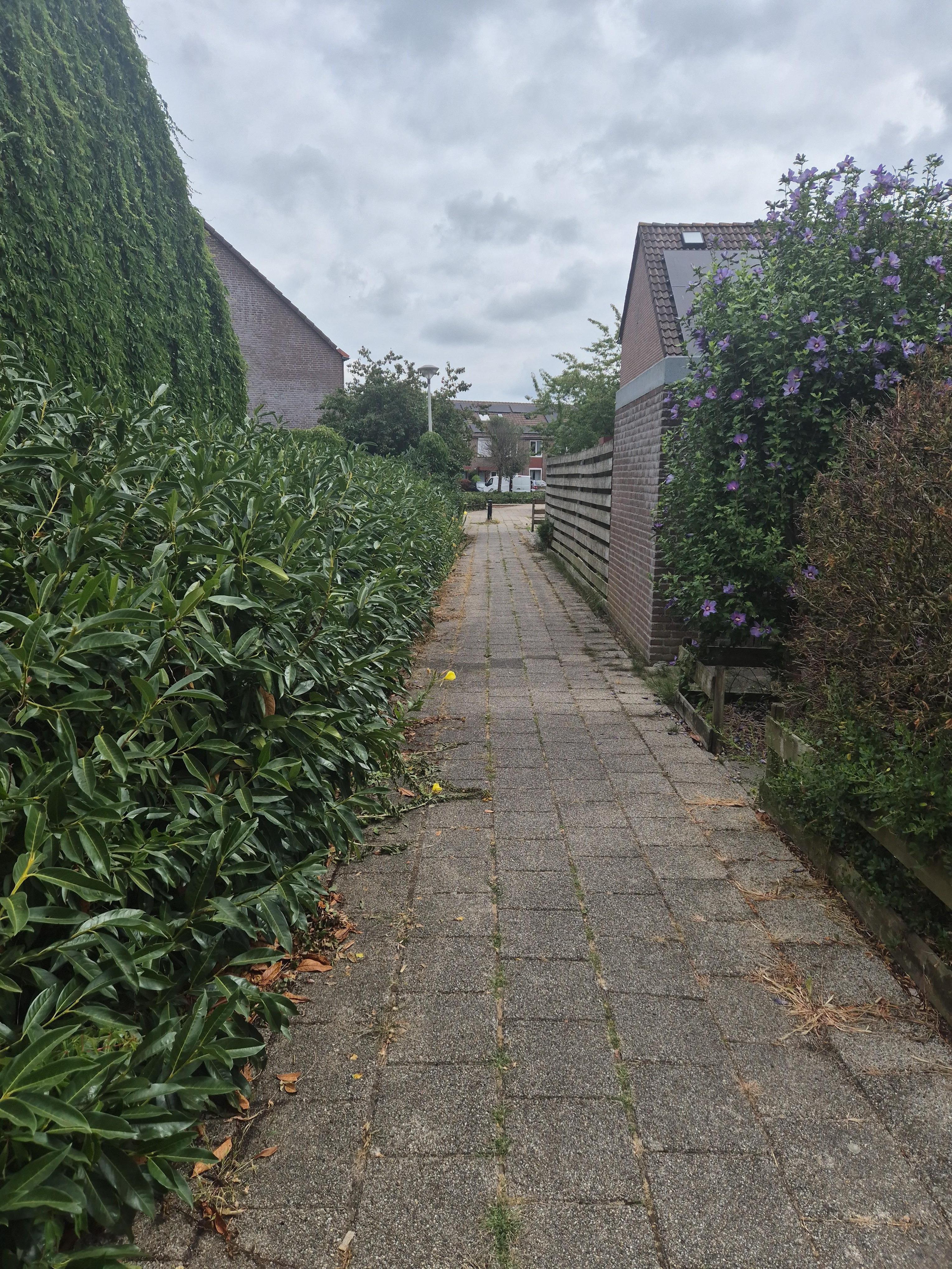 Het Anthonie 25