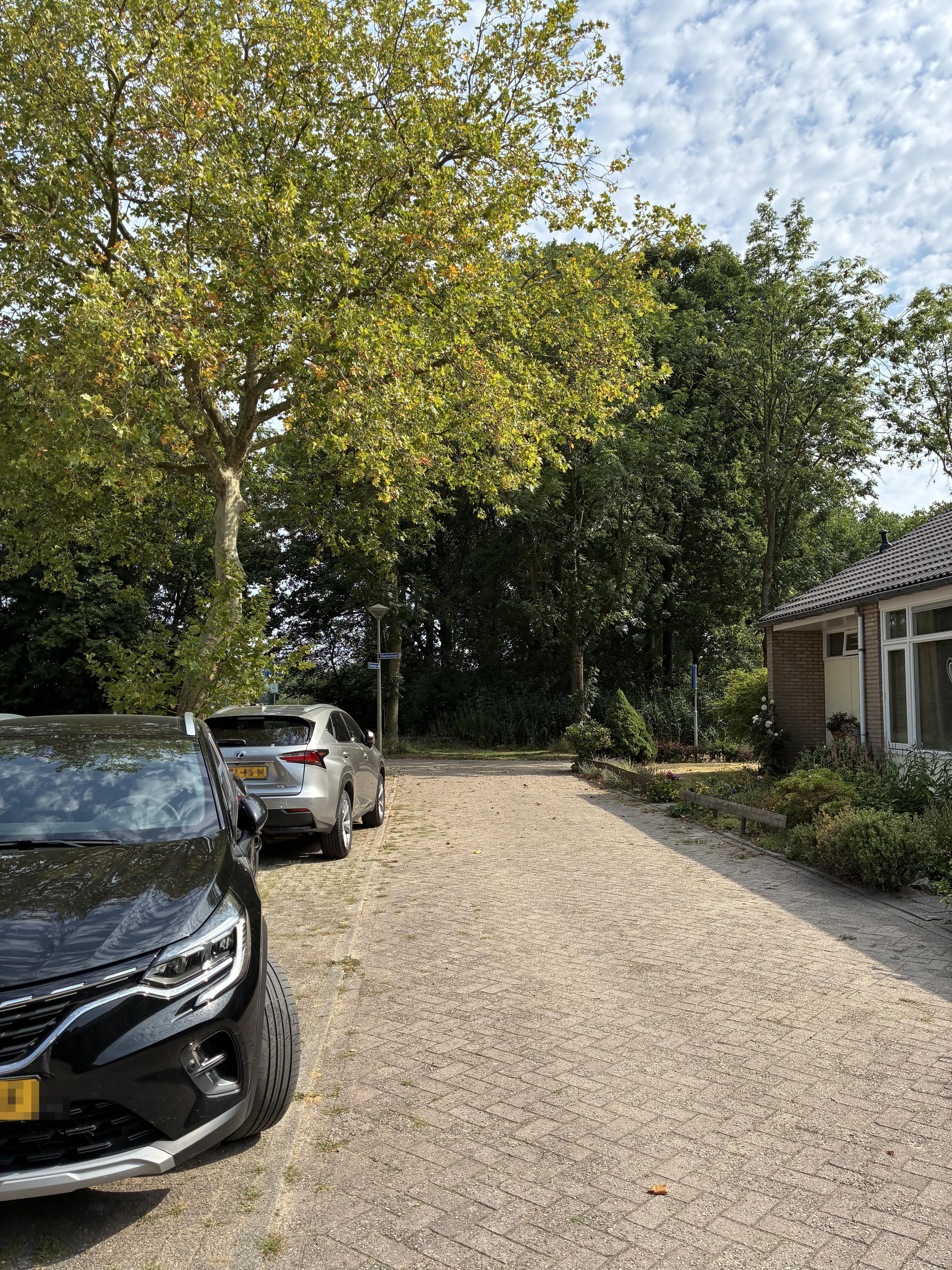 Kwartelstraat 16