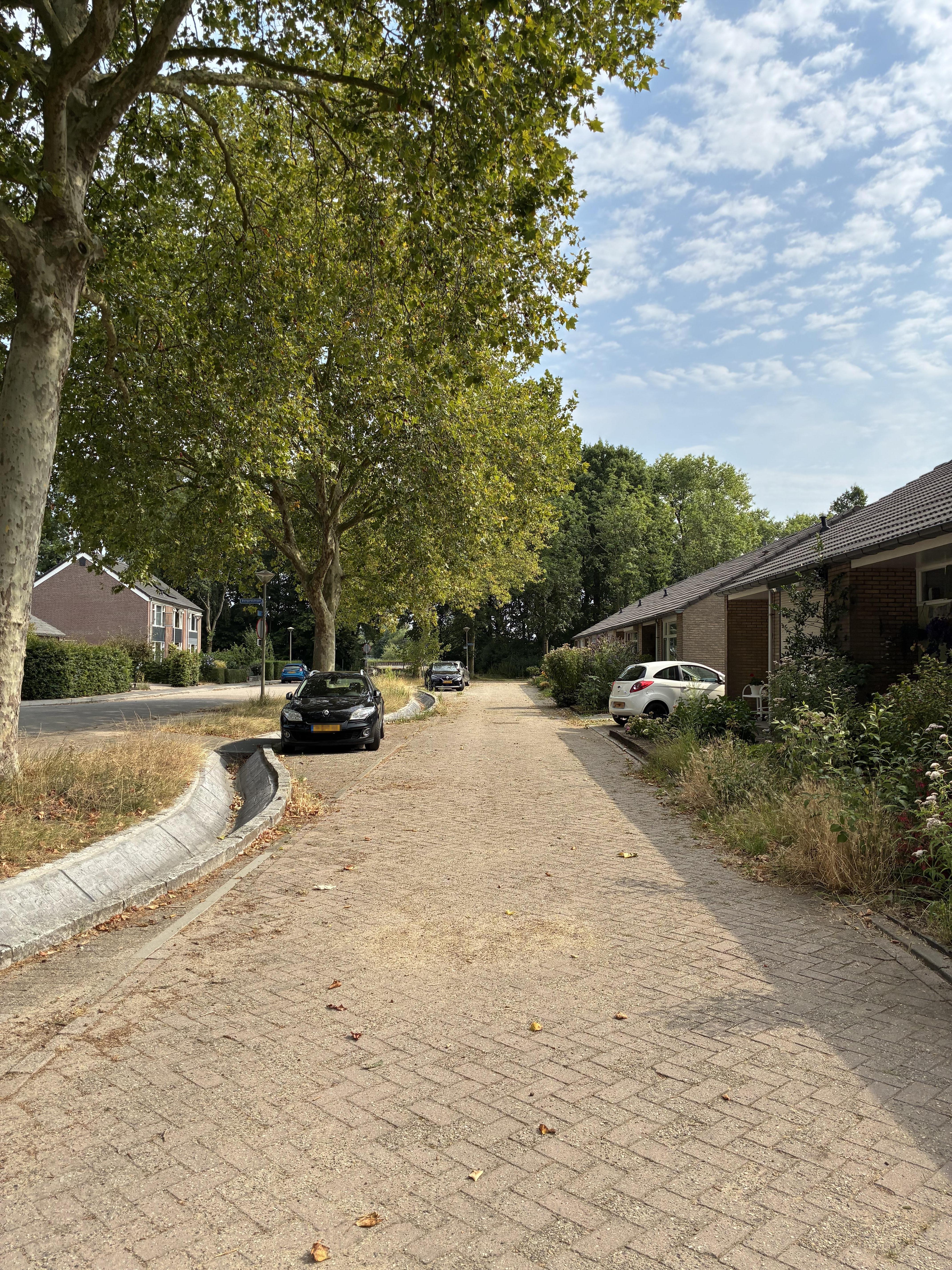 Kwartelstraat 16