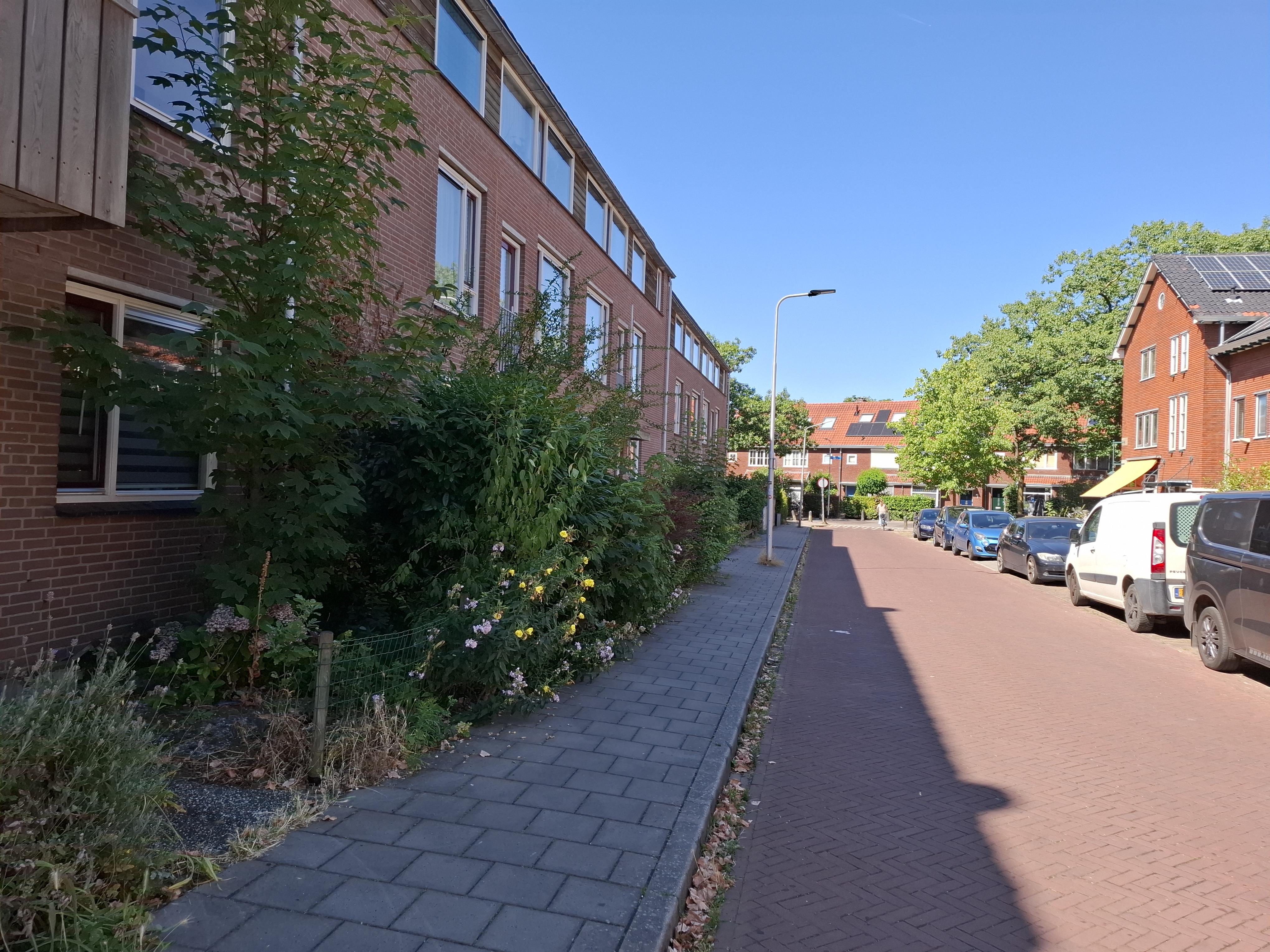 Bachstraat 14