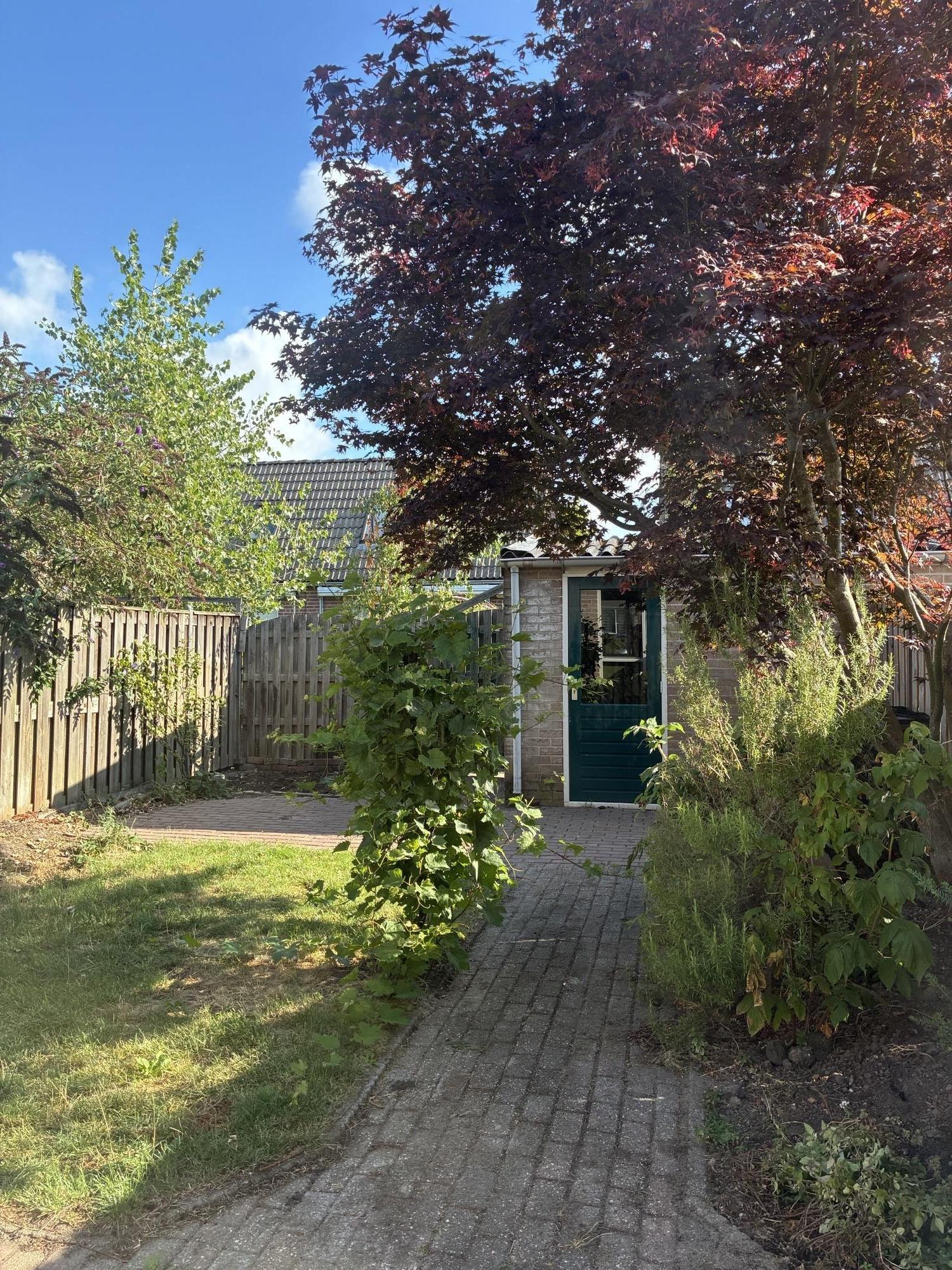Wethouder Verrietstraat 49