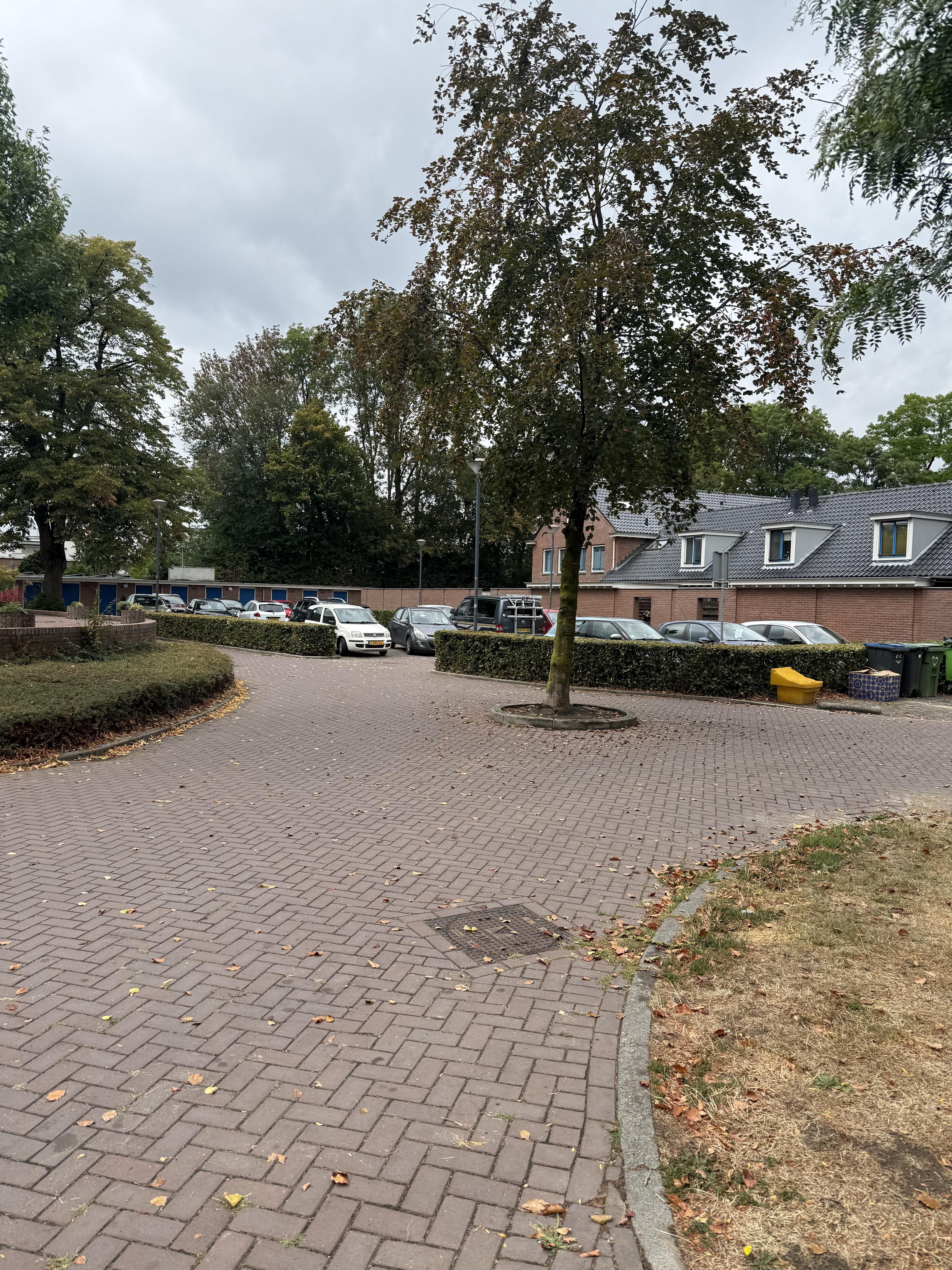 's Herenhof 48