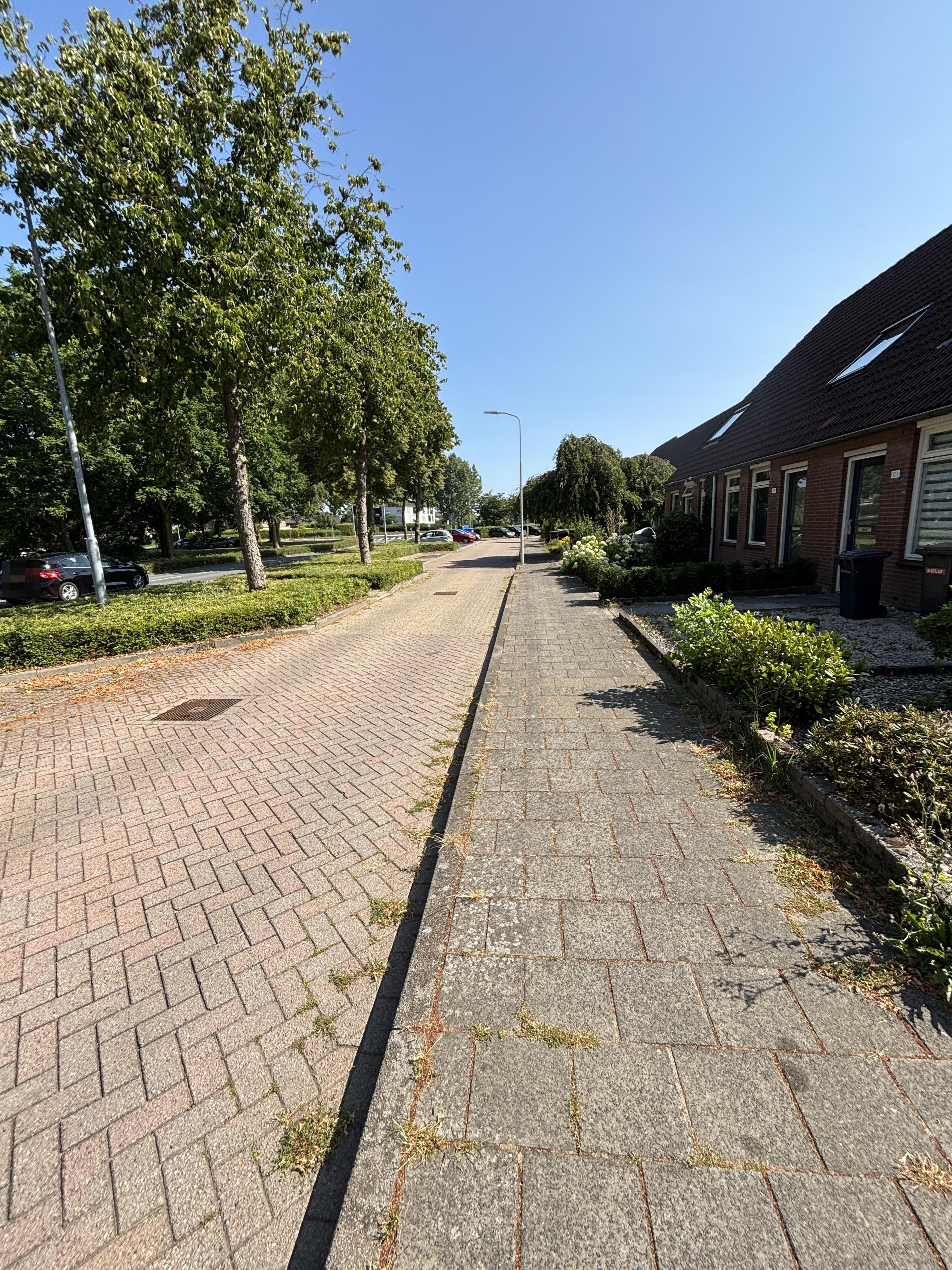 Van Ostadestraat 107