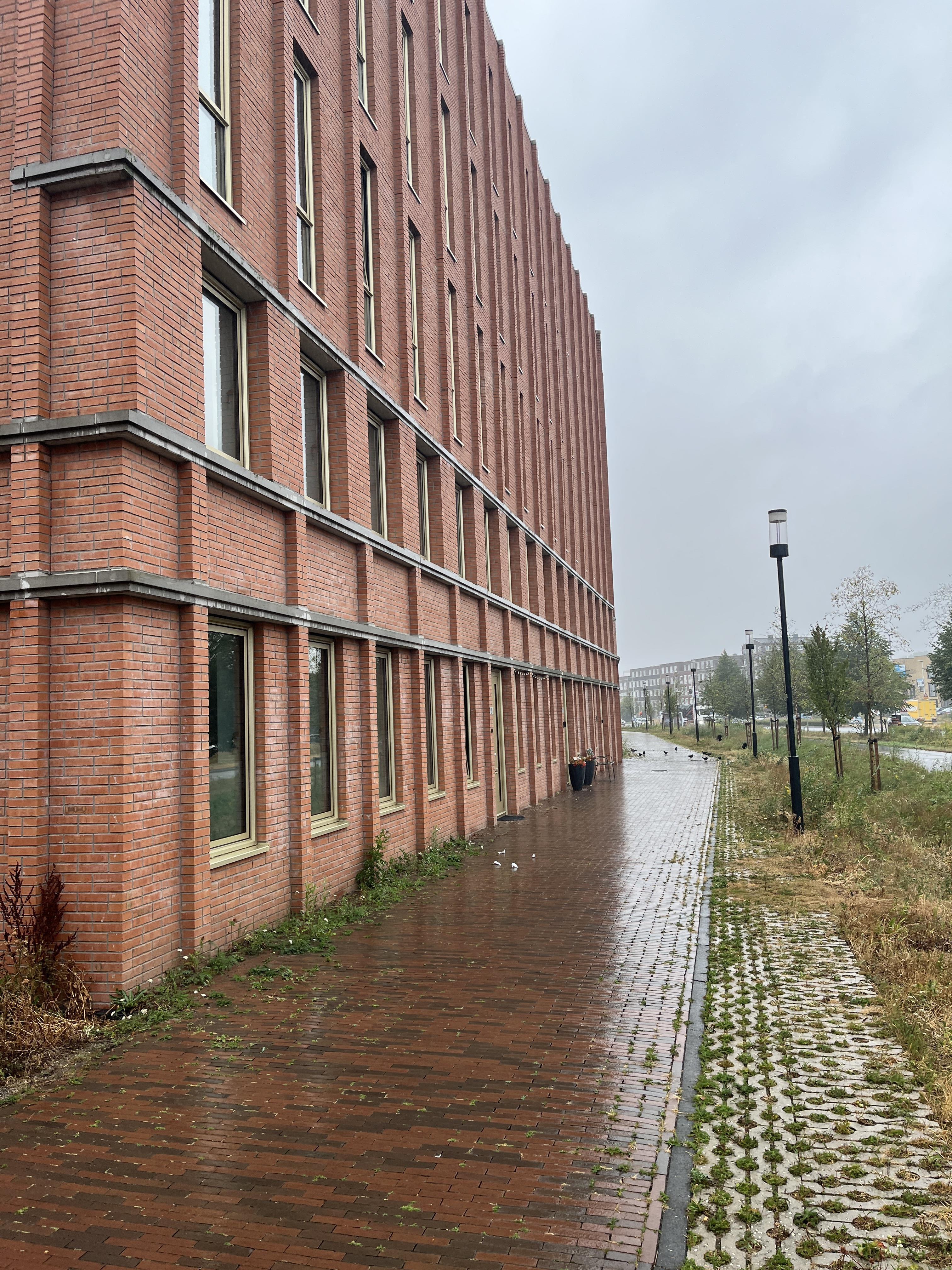 Geert Niemeijerhof 11