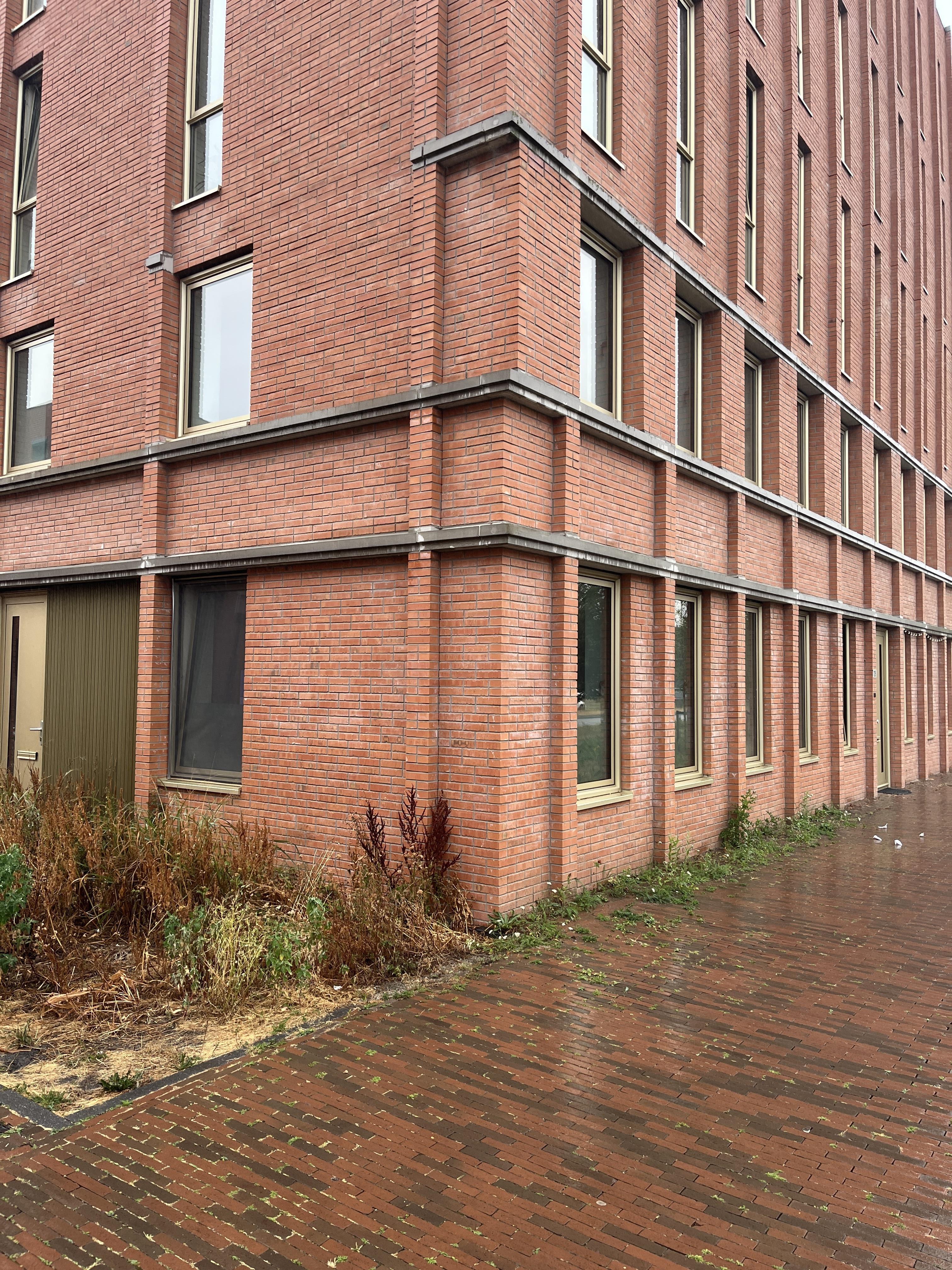 Geert Niemeijerhof 11