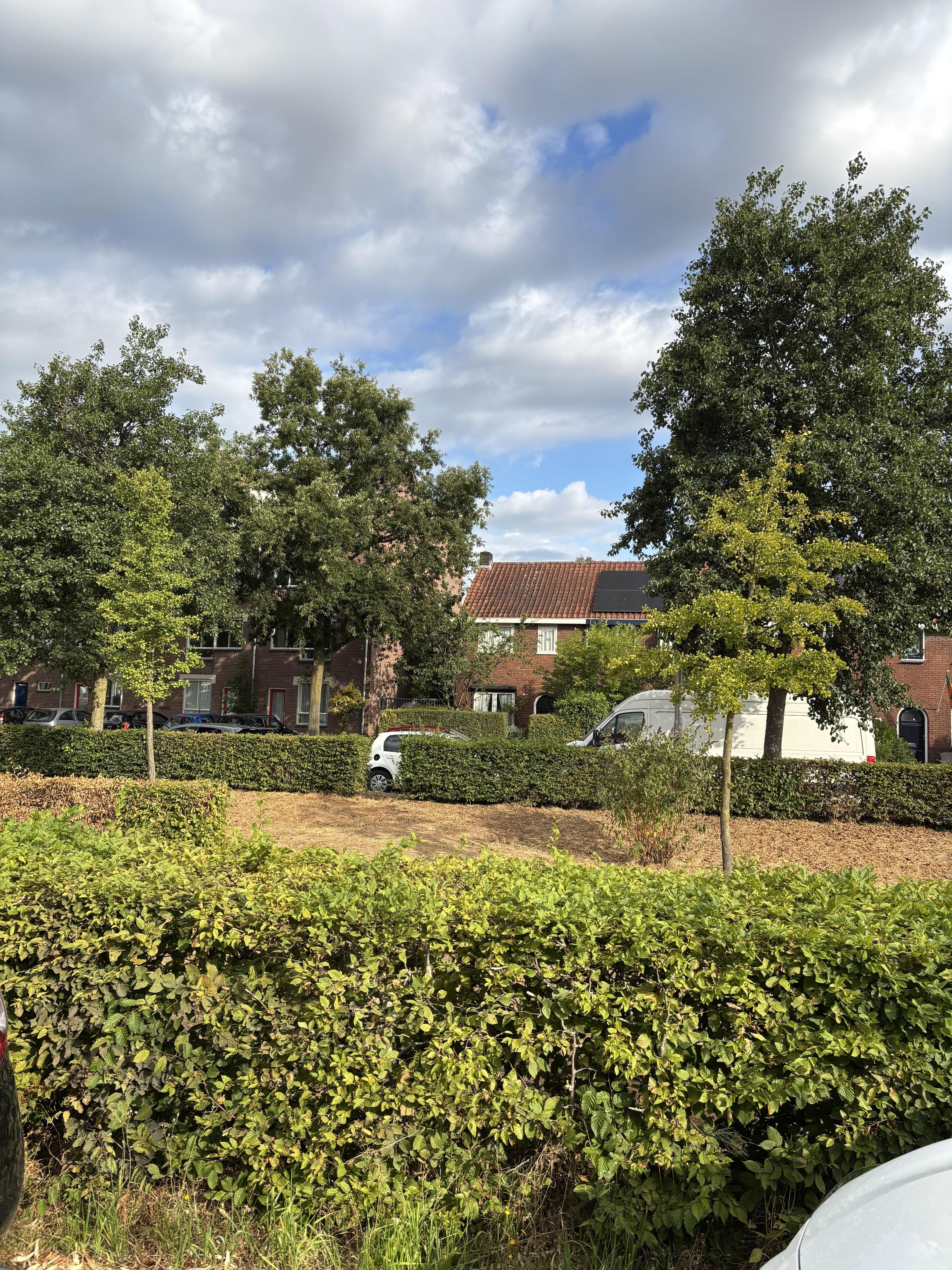 Bosbesstraat 85