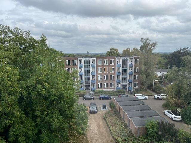 Cort van der Lindenlaan 