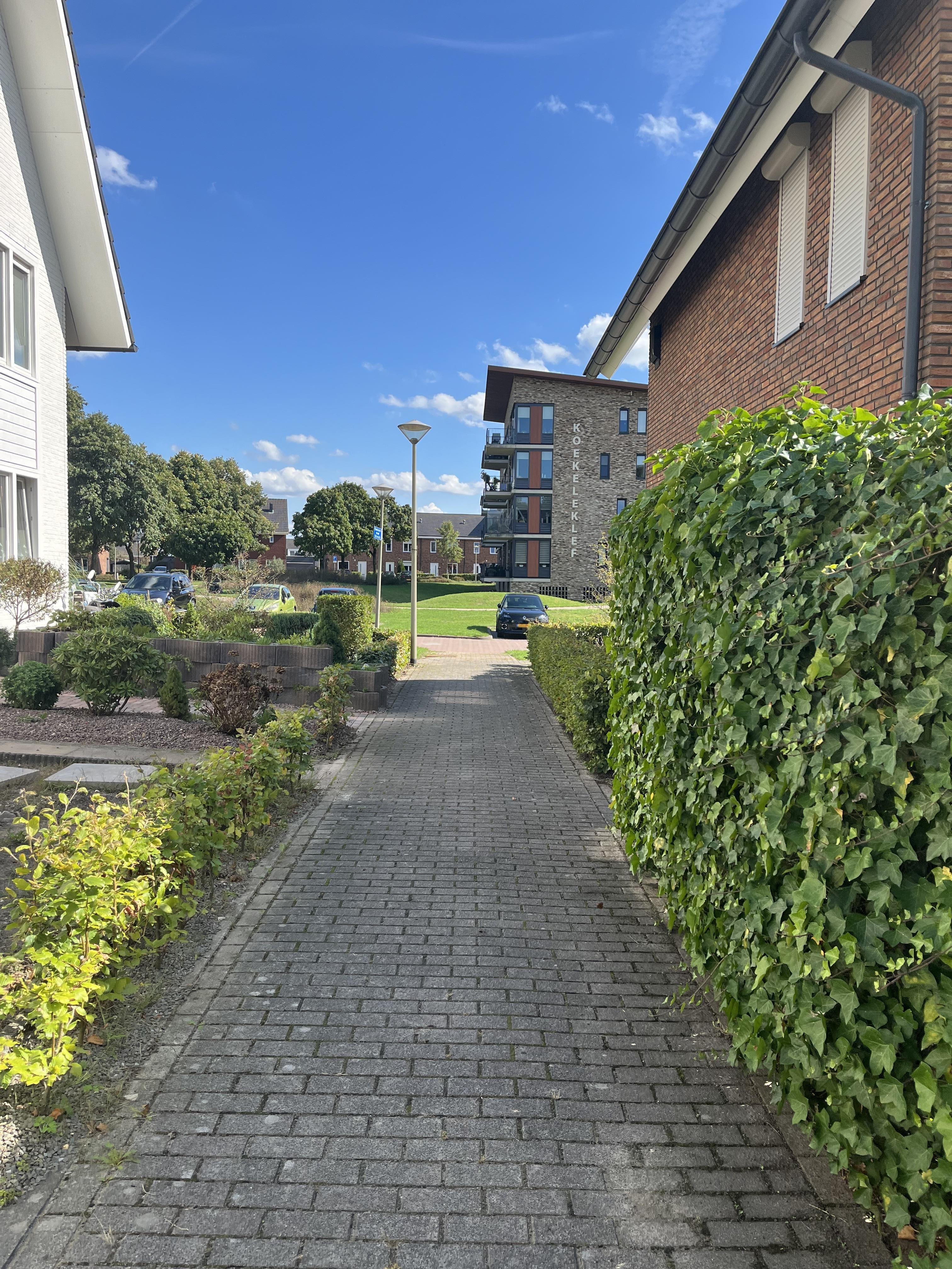 Frambozenstraat 22