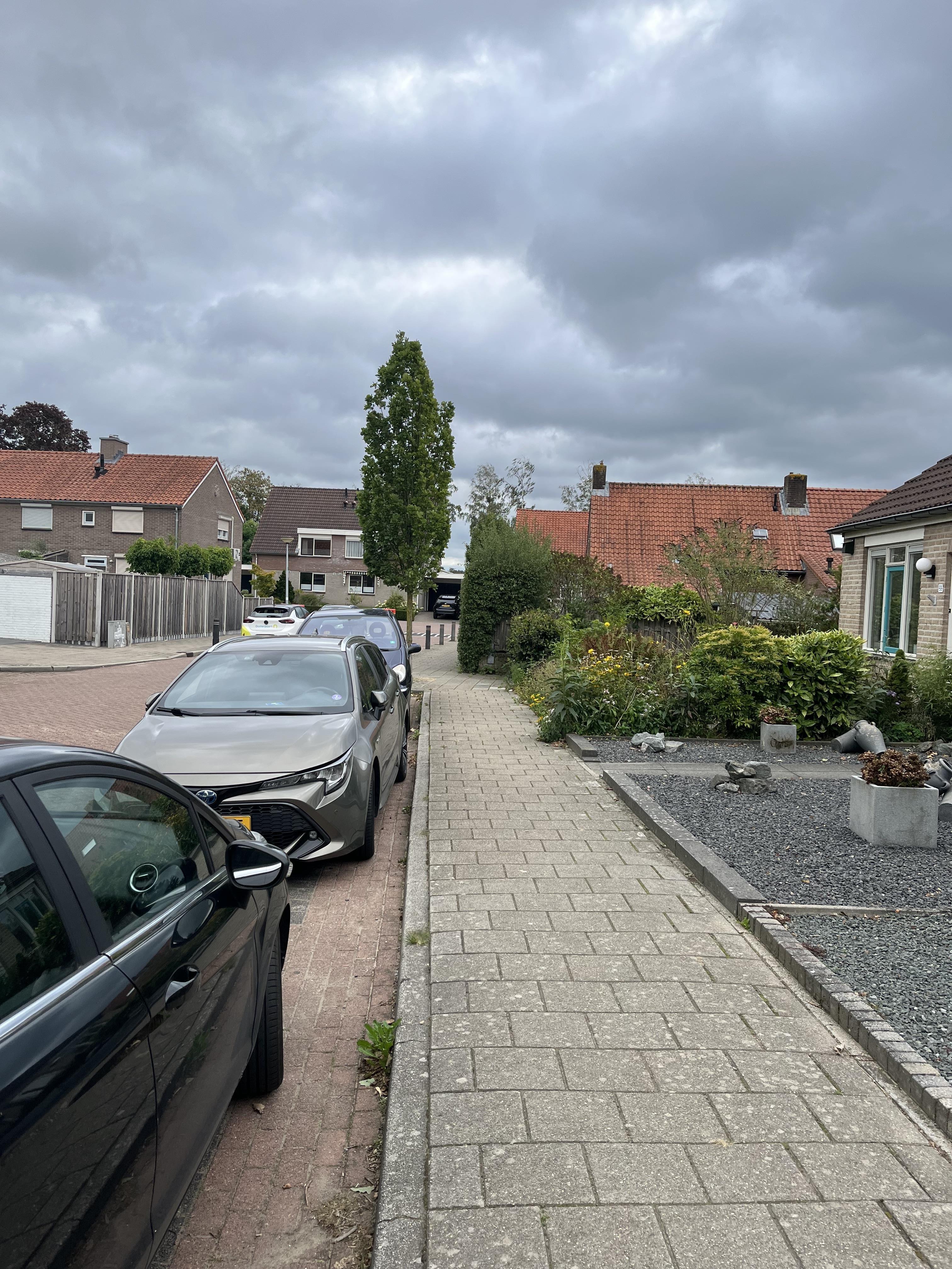 Vendelierstraat 52