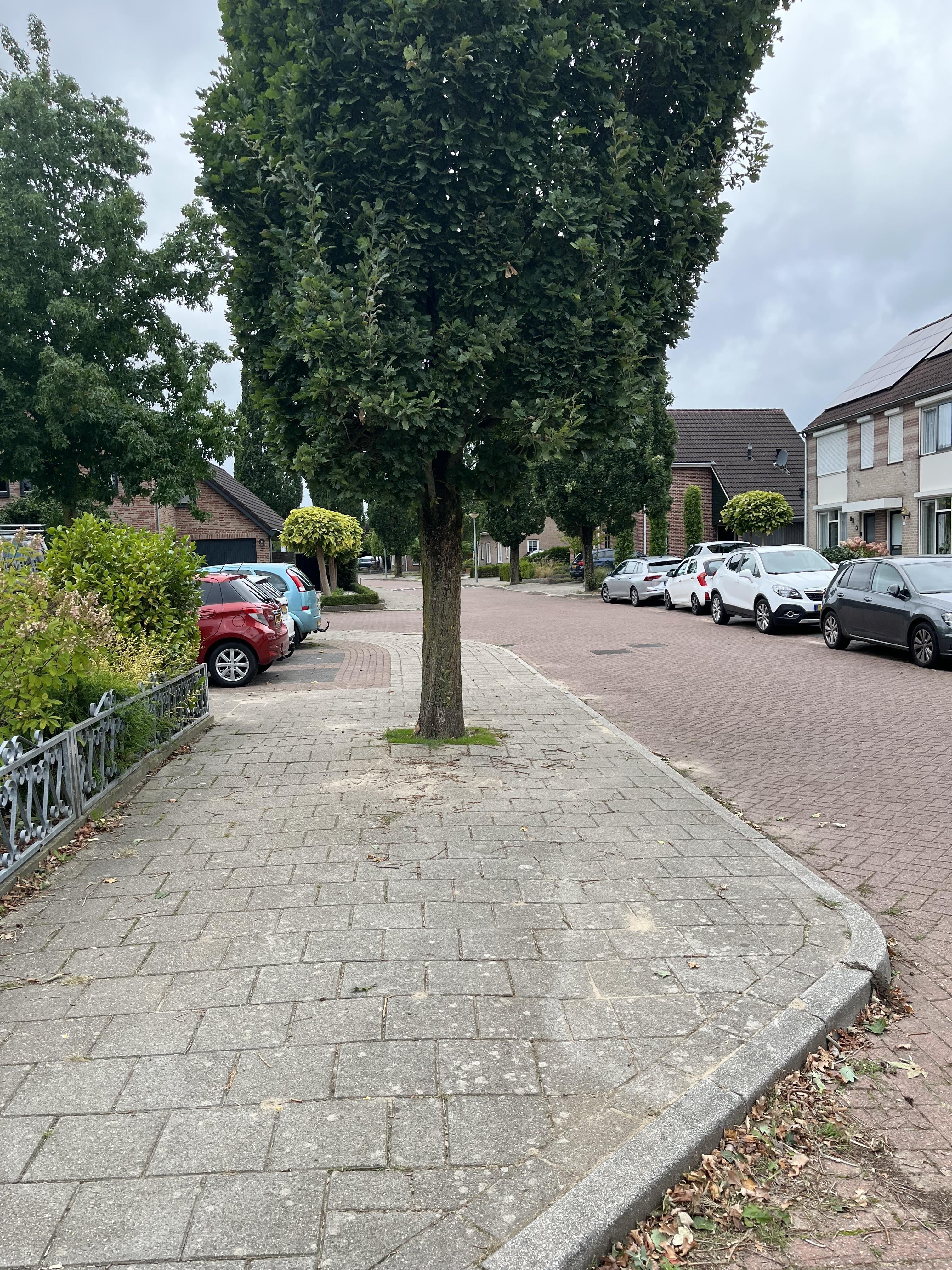 Vendelierstraat 52