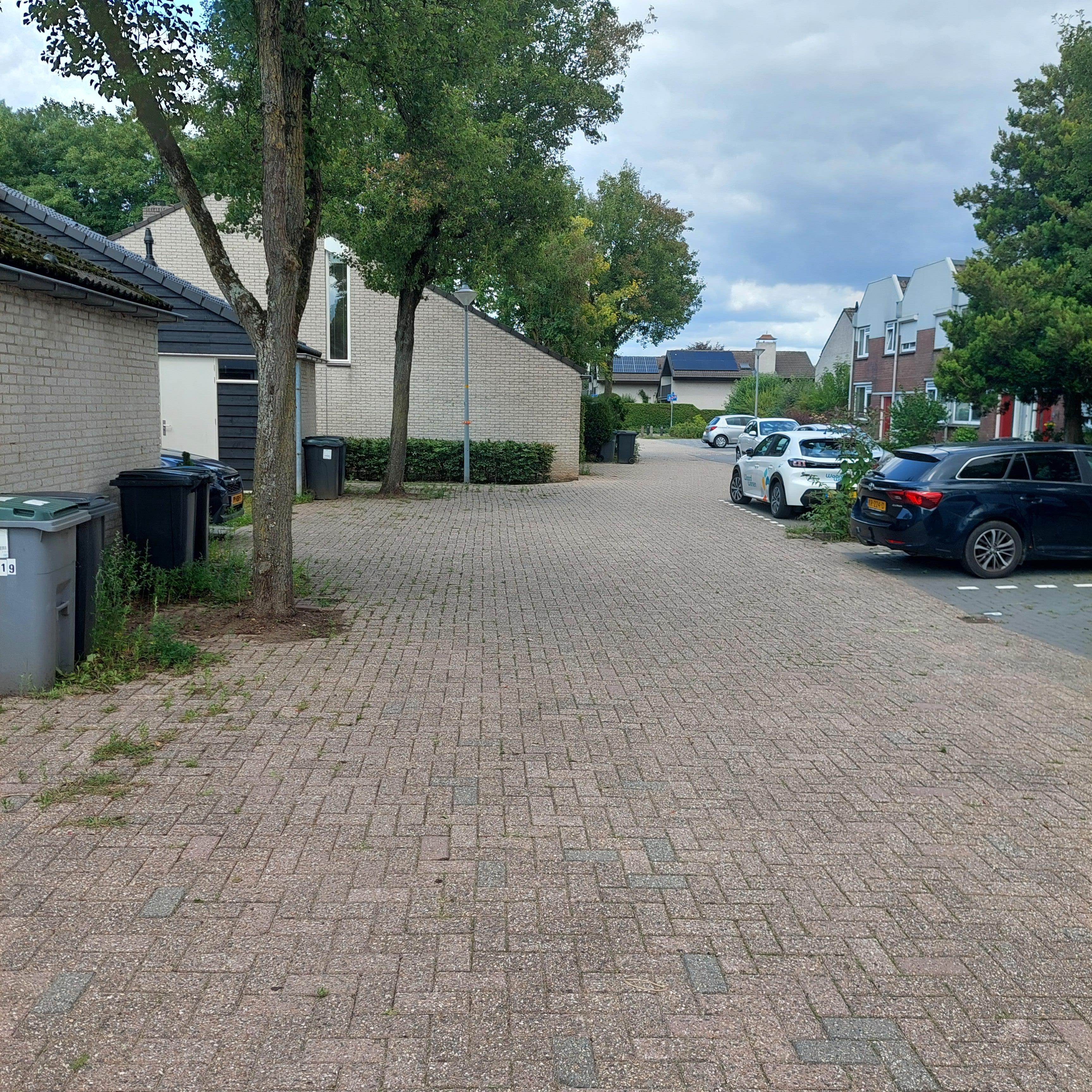Schoof 8