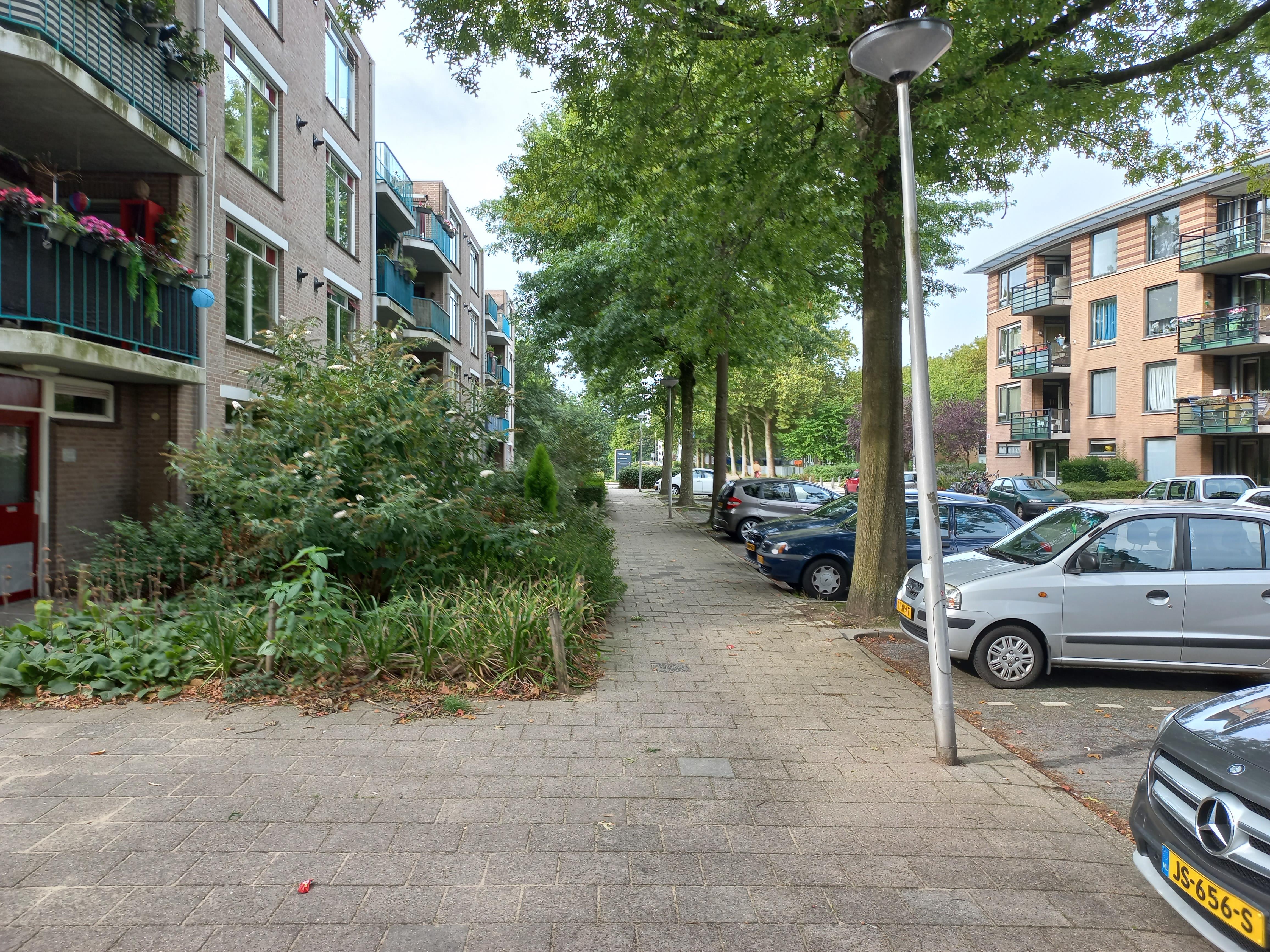 Fanfarestraat 133