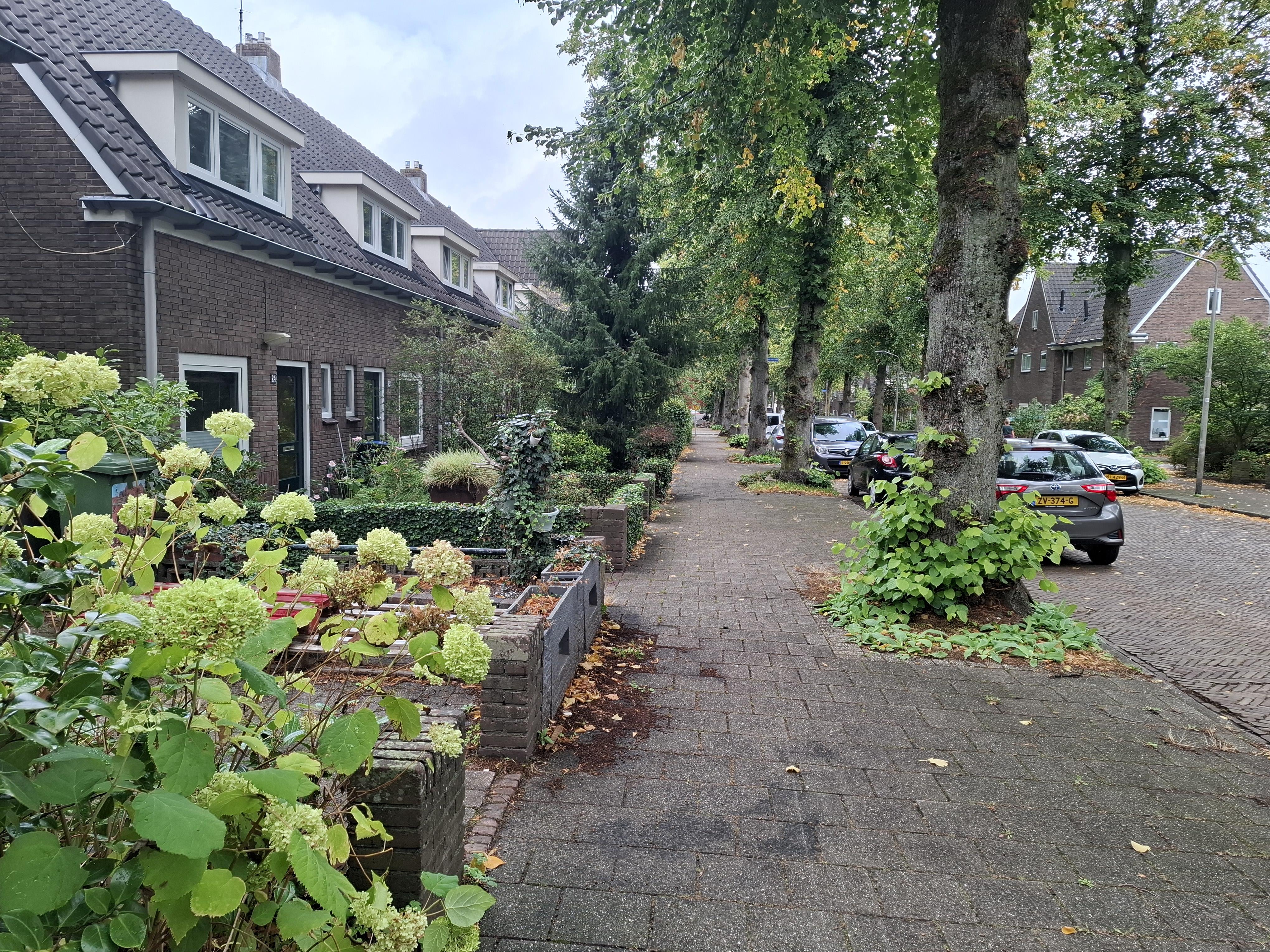 Elzenstraat 28