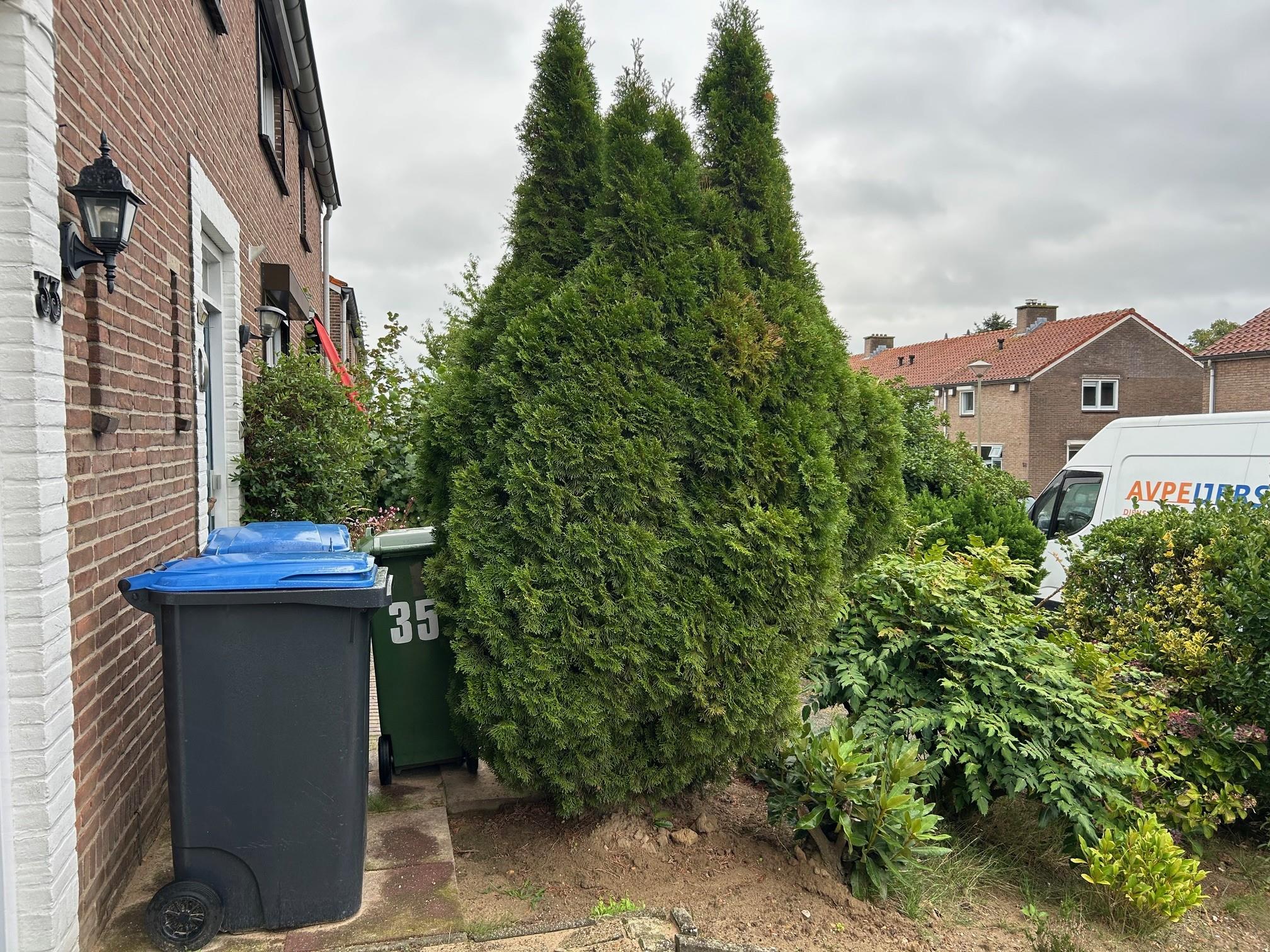 Van Nispenstraat 33