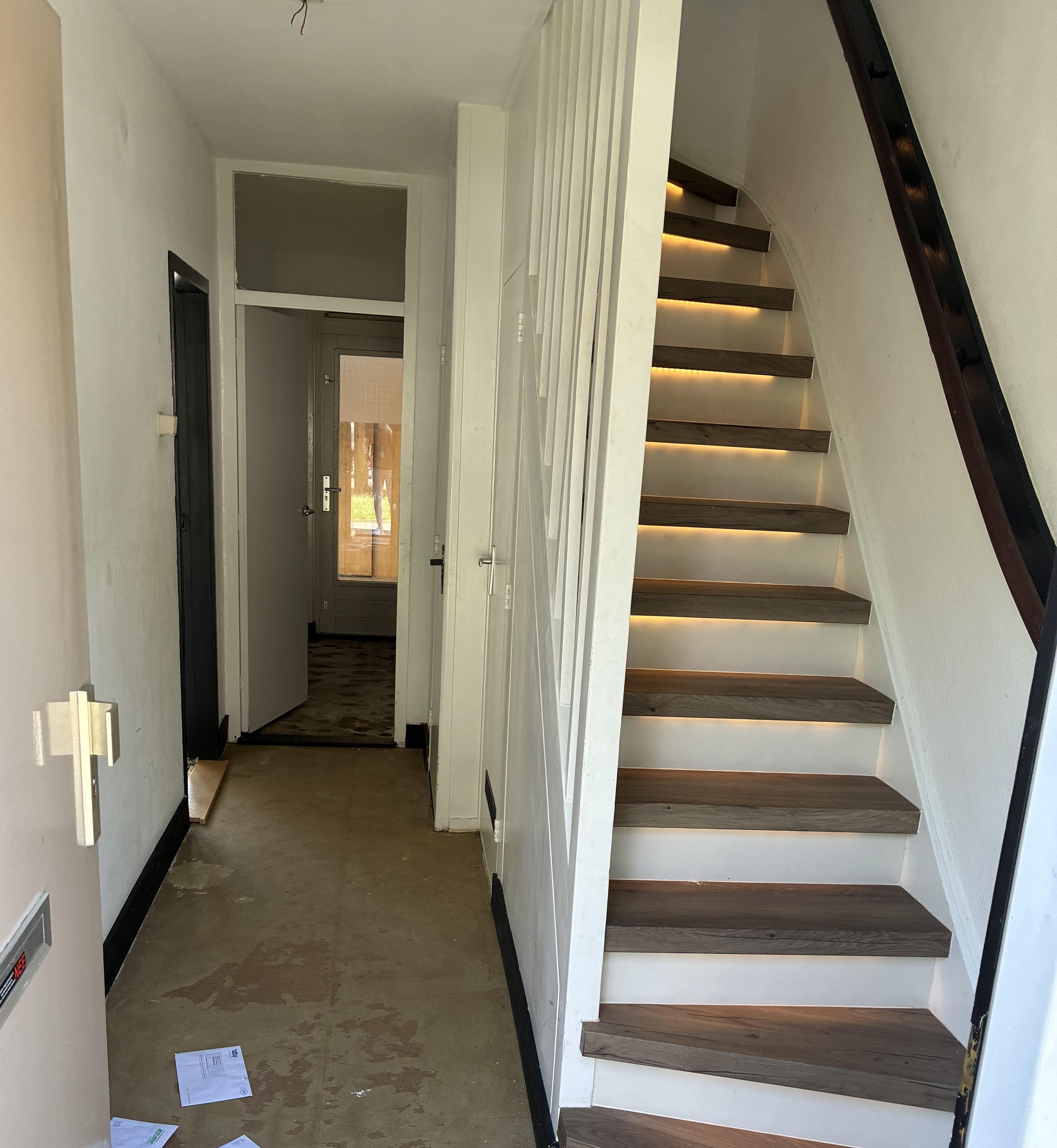 Treubstraat 31