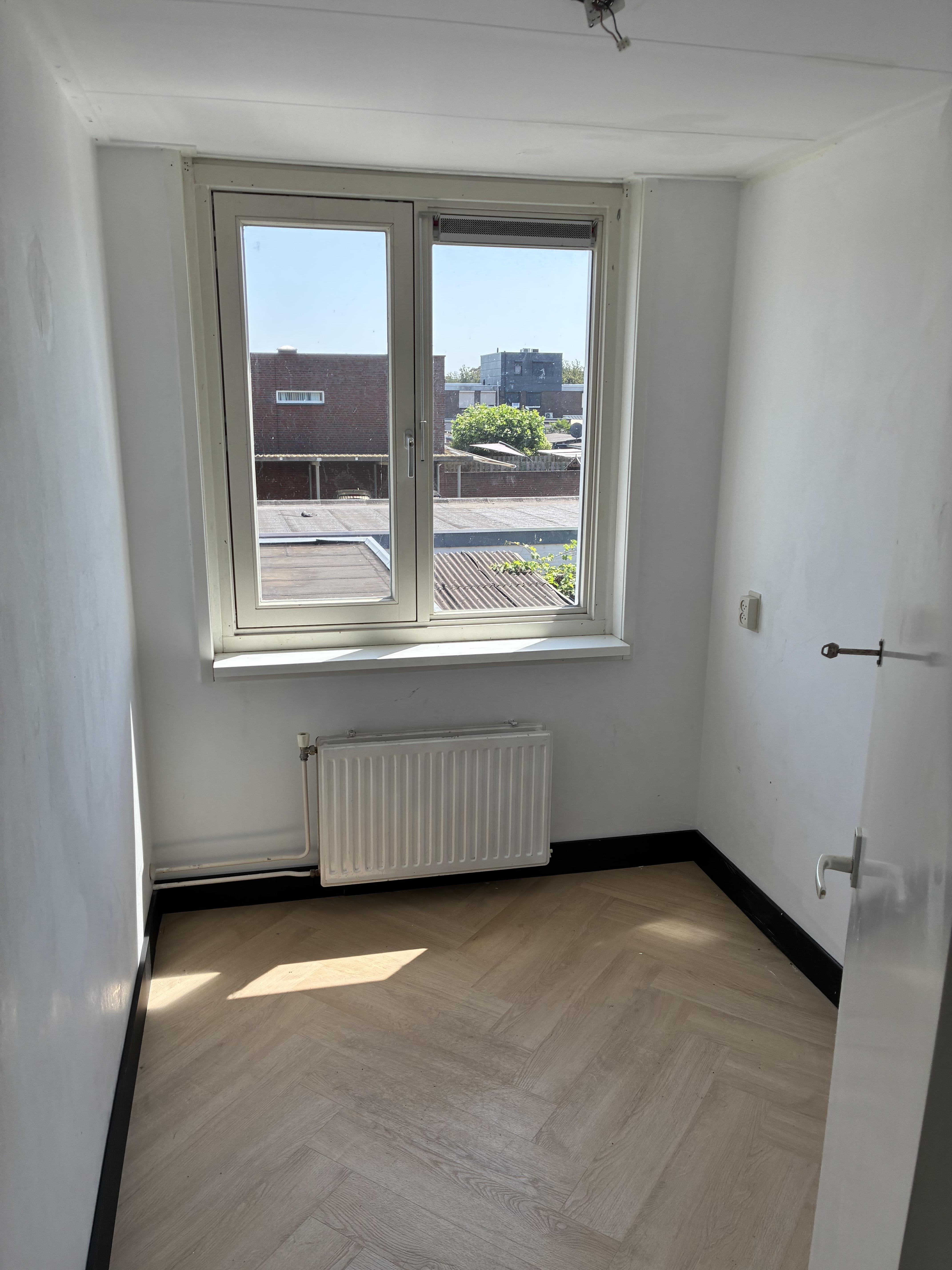 Treubstraat 31