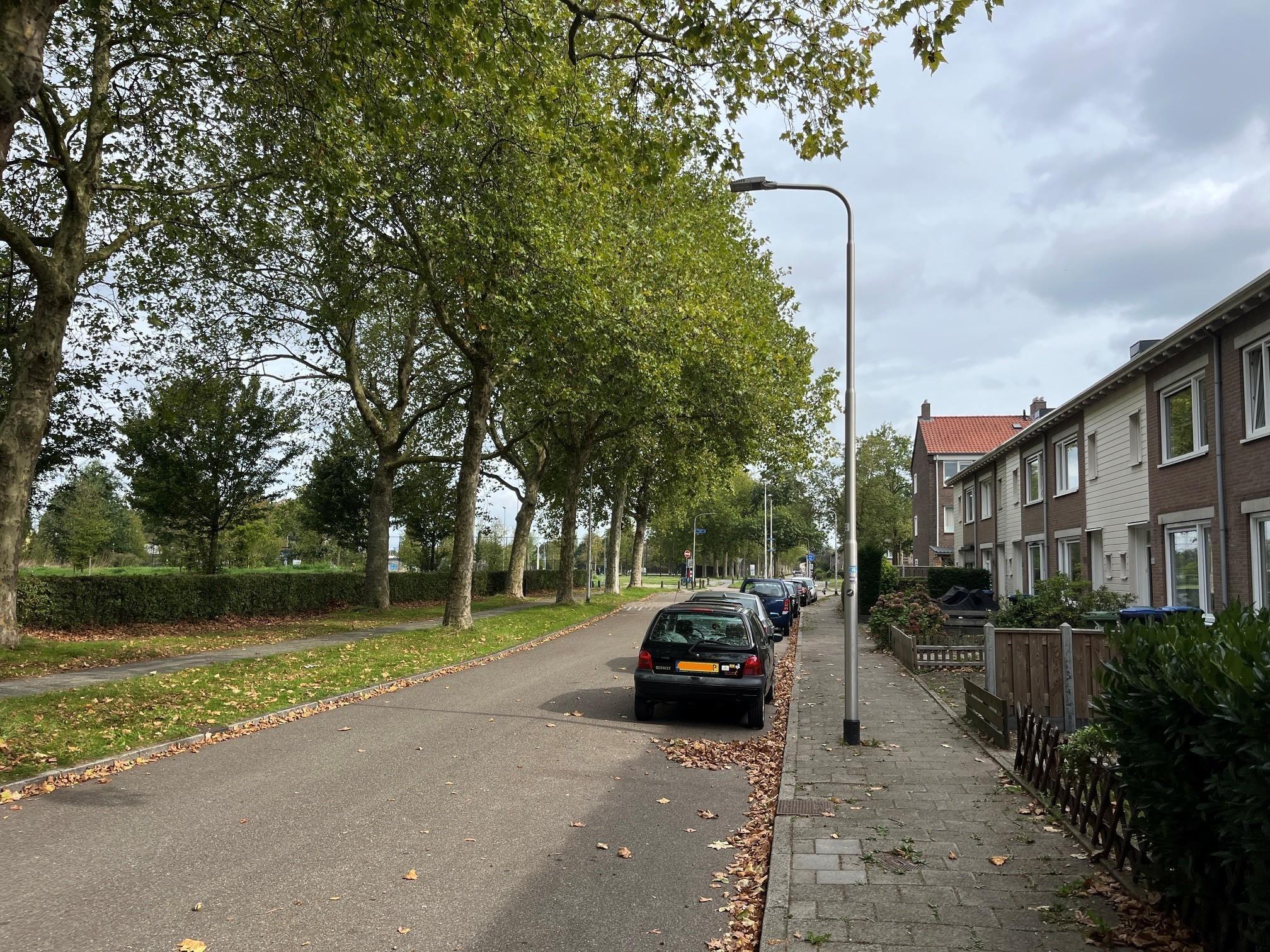 Oscar Carréstraat 121