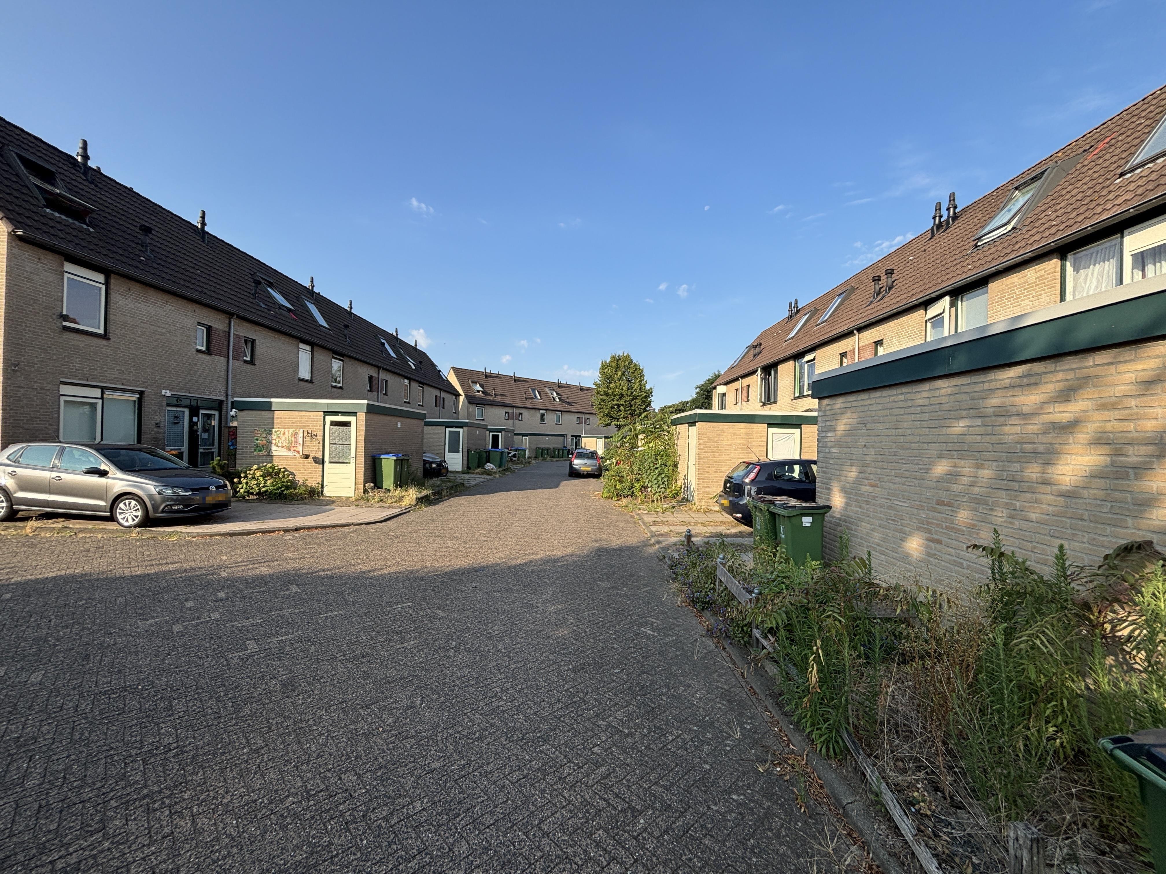 Tamboer 44