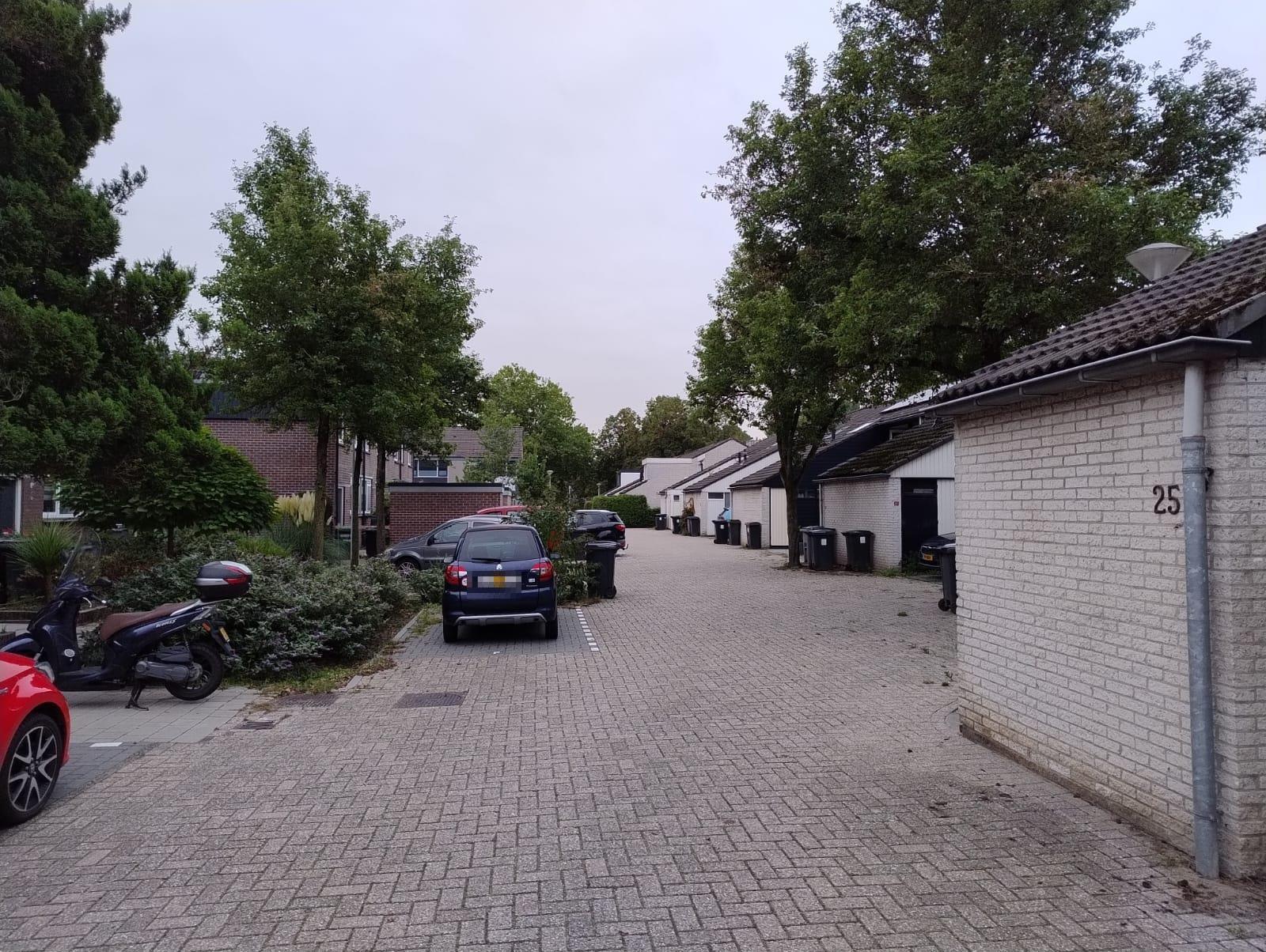 Schoof 22