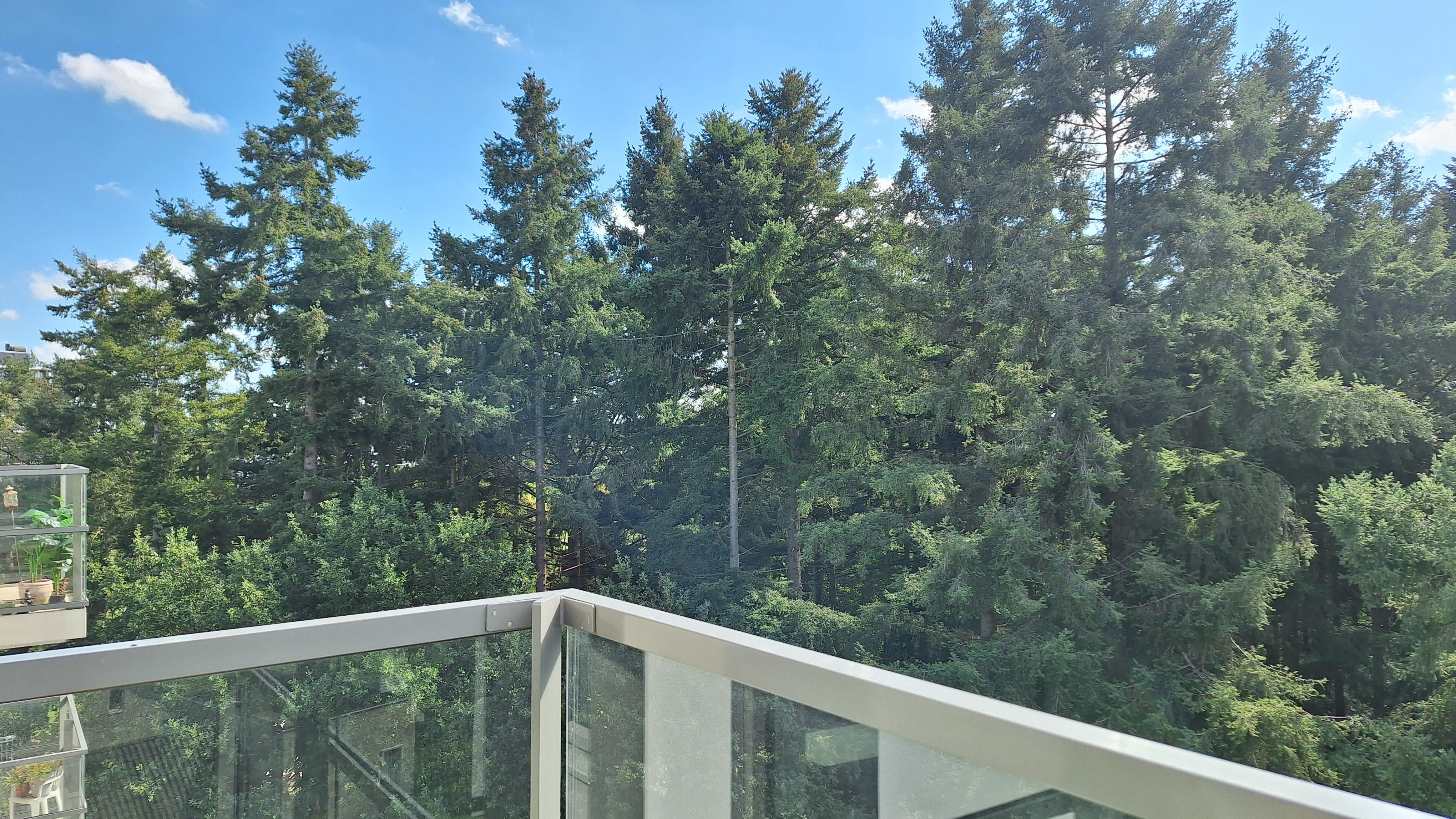Tolhuis 27176