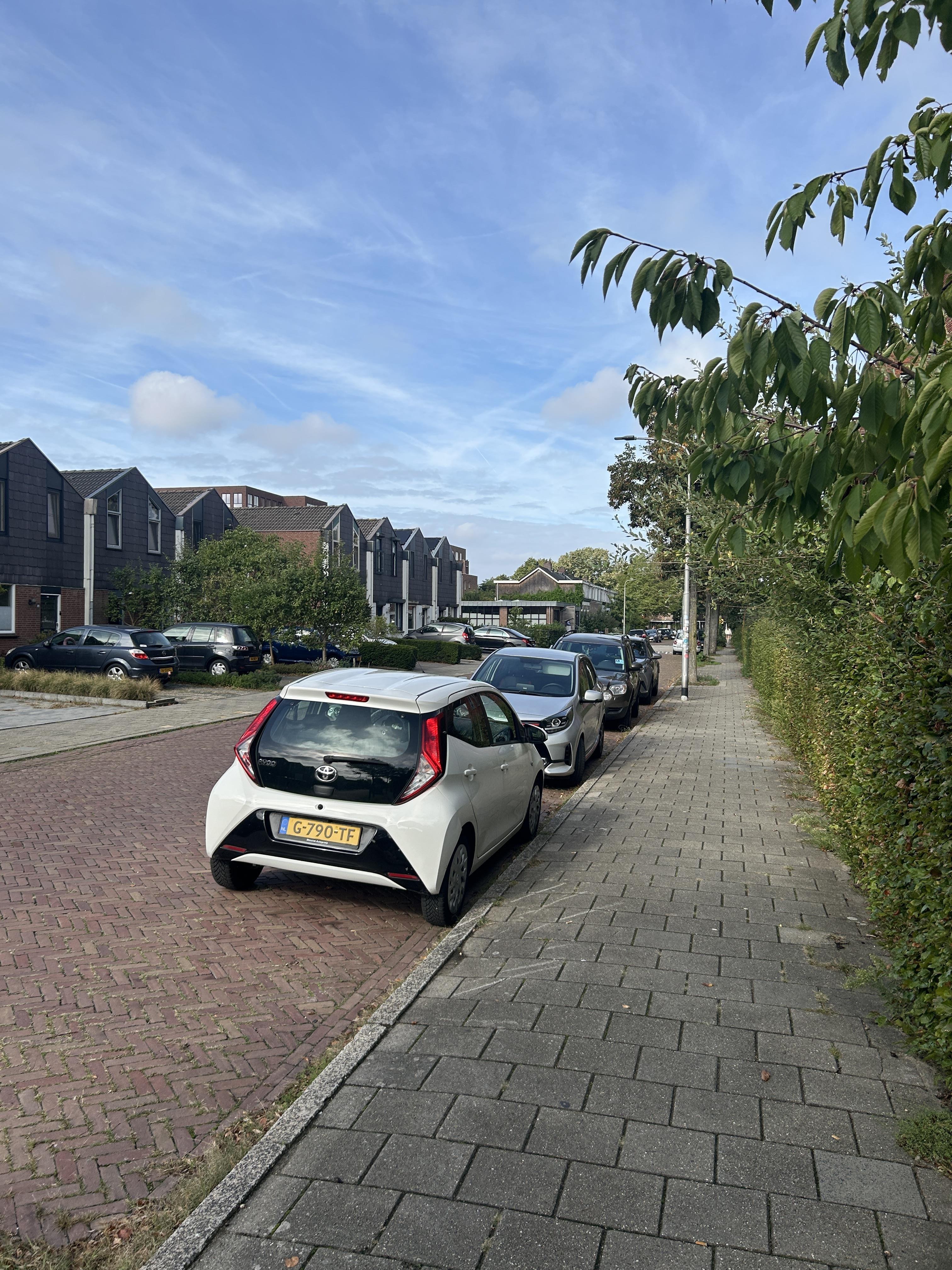 Sperwerstraat 94P