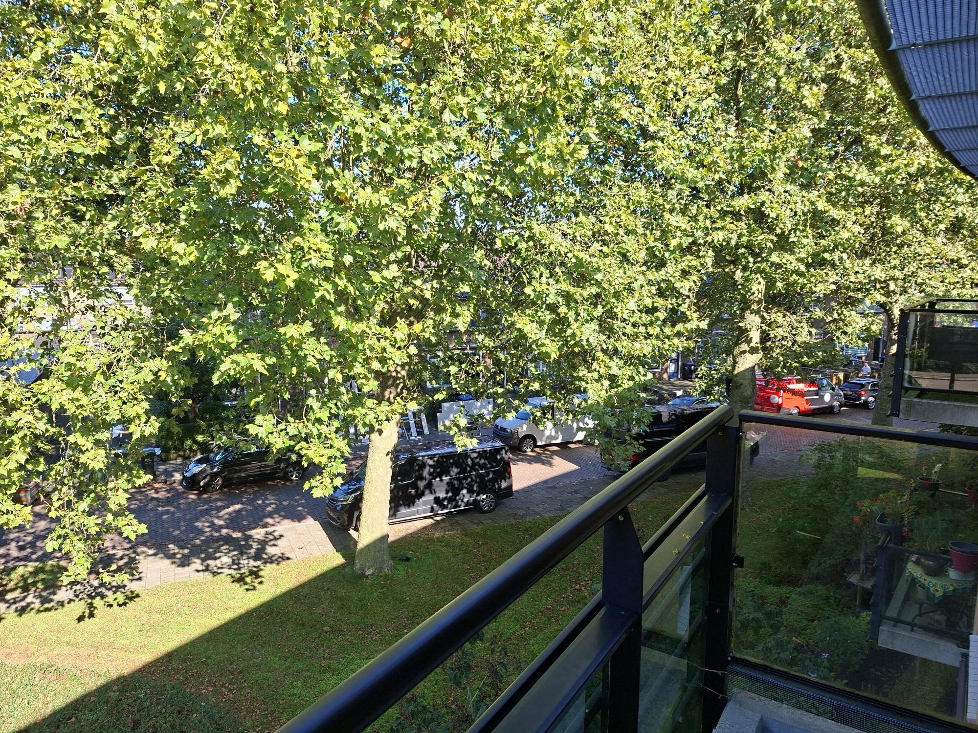 Albanystraat 60