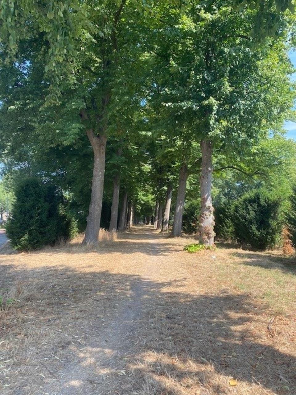 Oude Dukenburgseweg 223