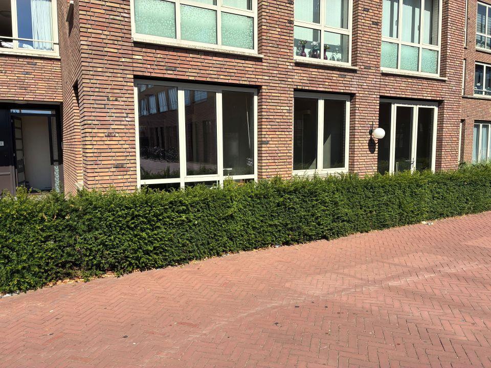 Kievitstraat 2