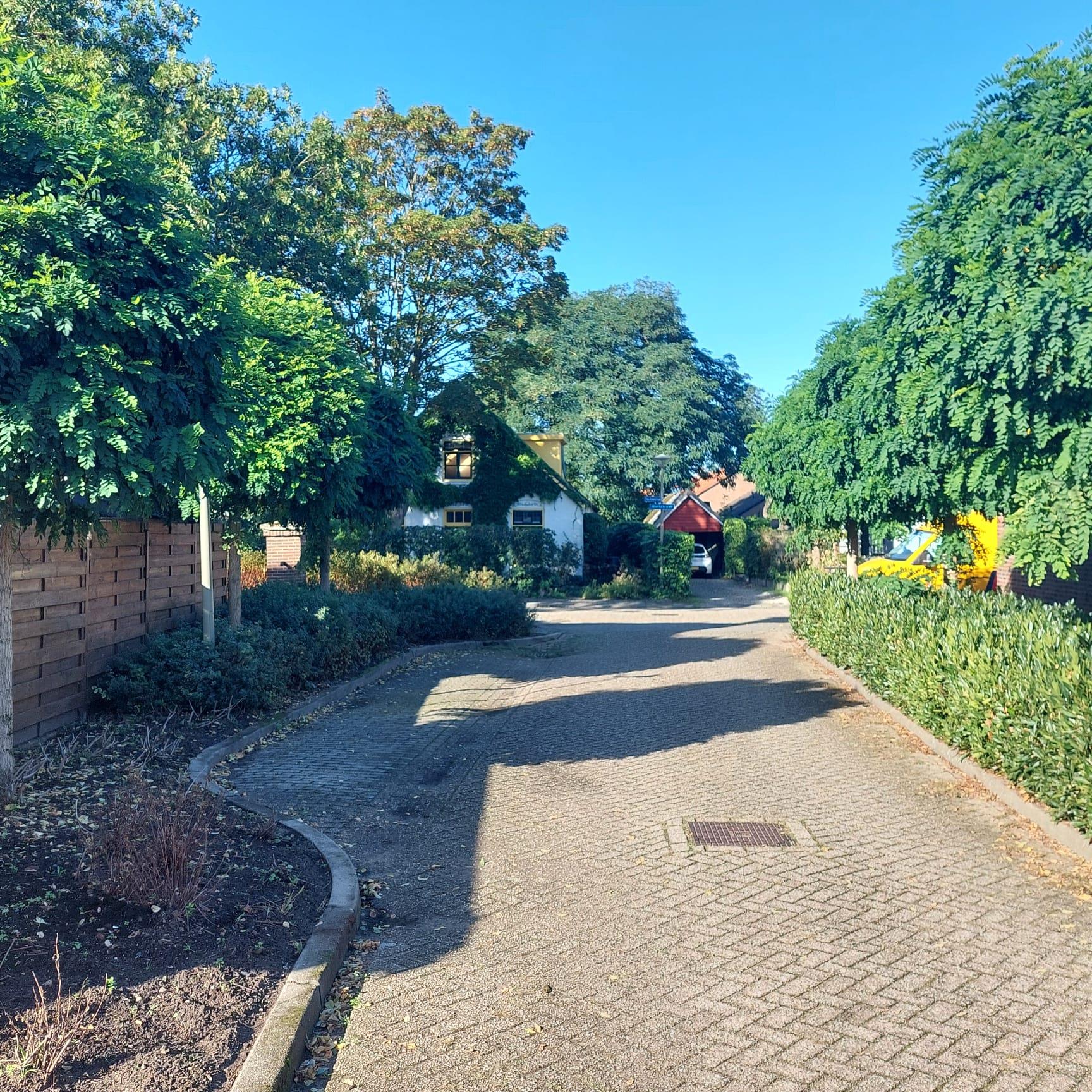 Van Arkelstraat 1