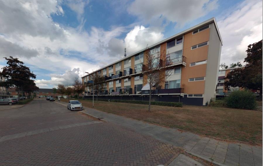 Meijhorst 2269
