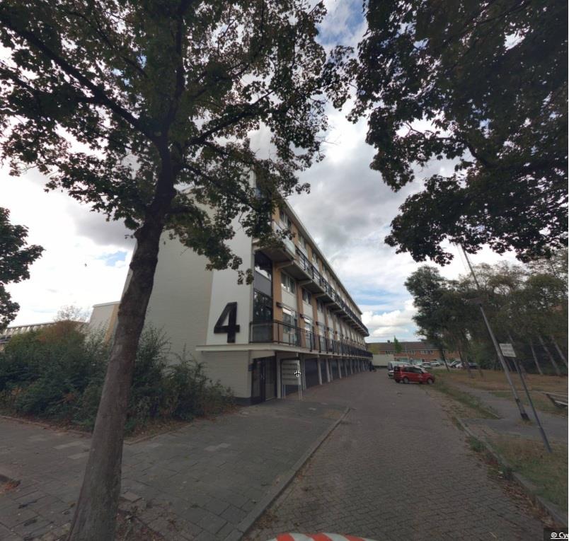 Meijhorst 2269
