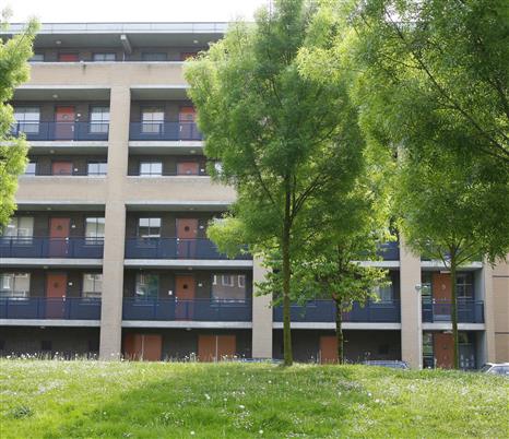 Le Mairehof 29, Arnhem, Arnhem
