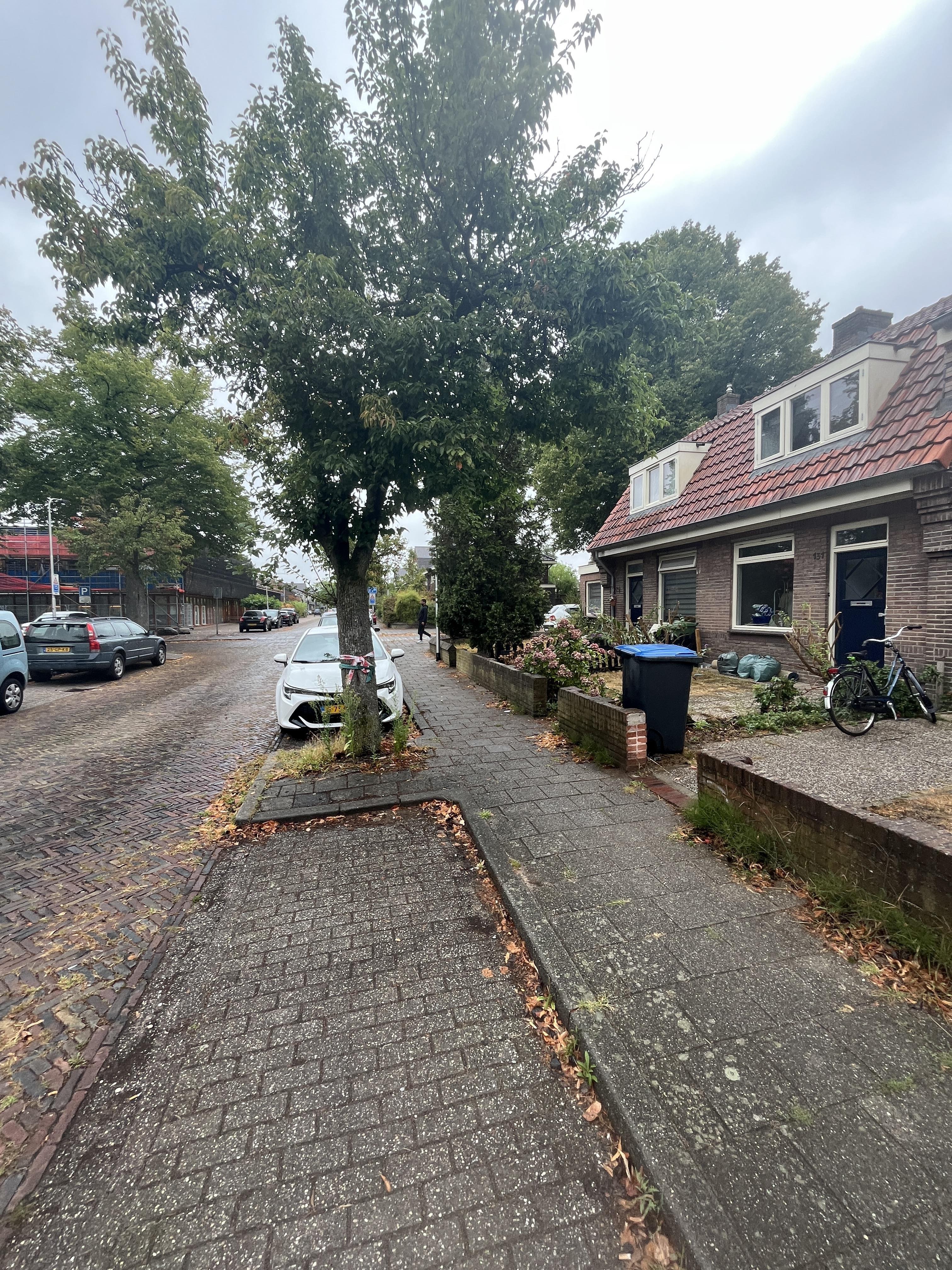 Maerlantstraat 131