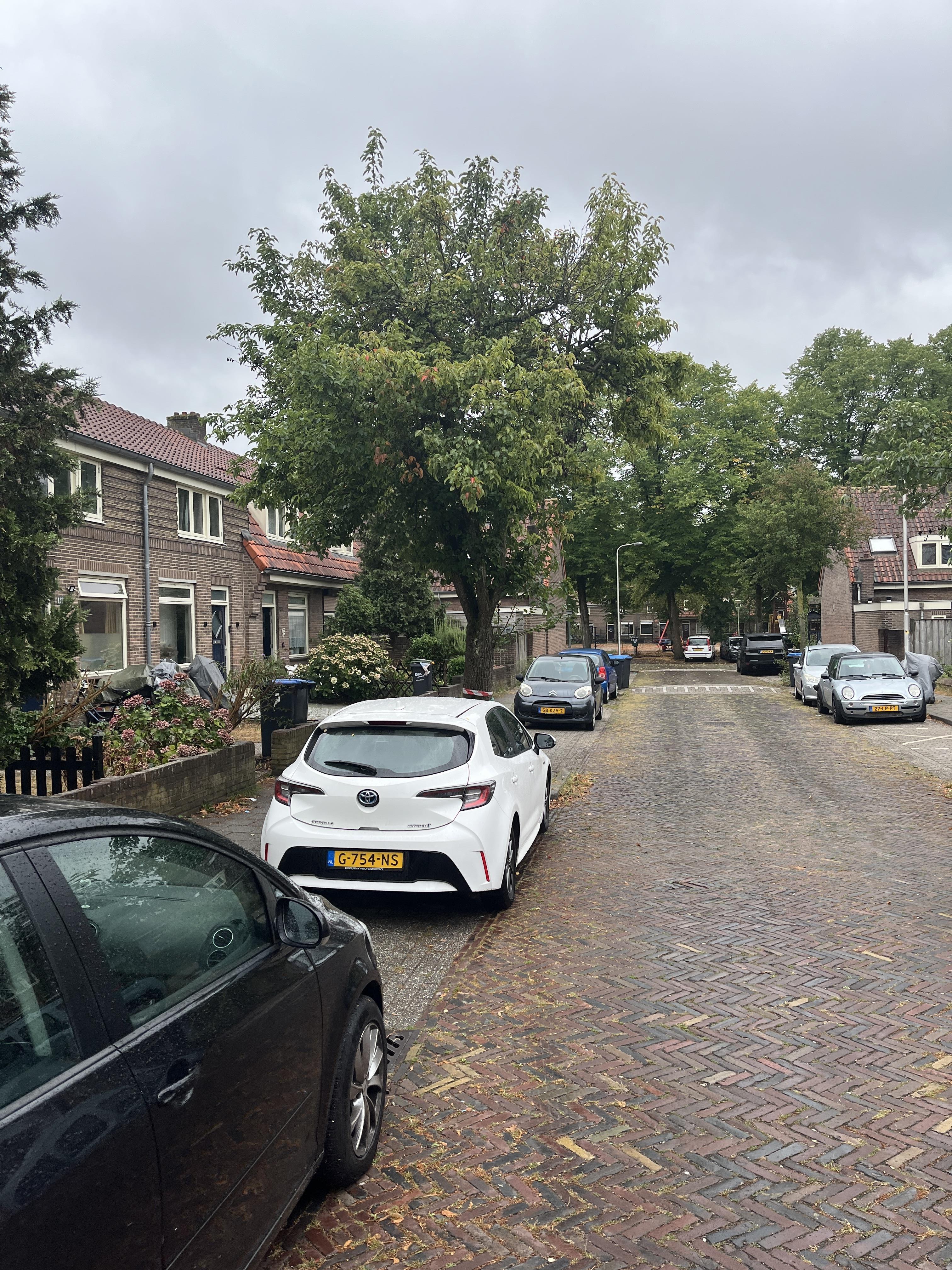 Maerlantstraat 131