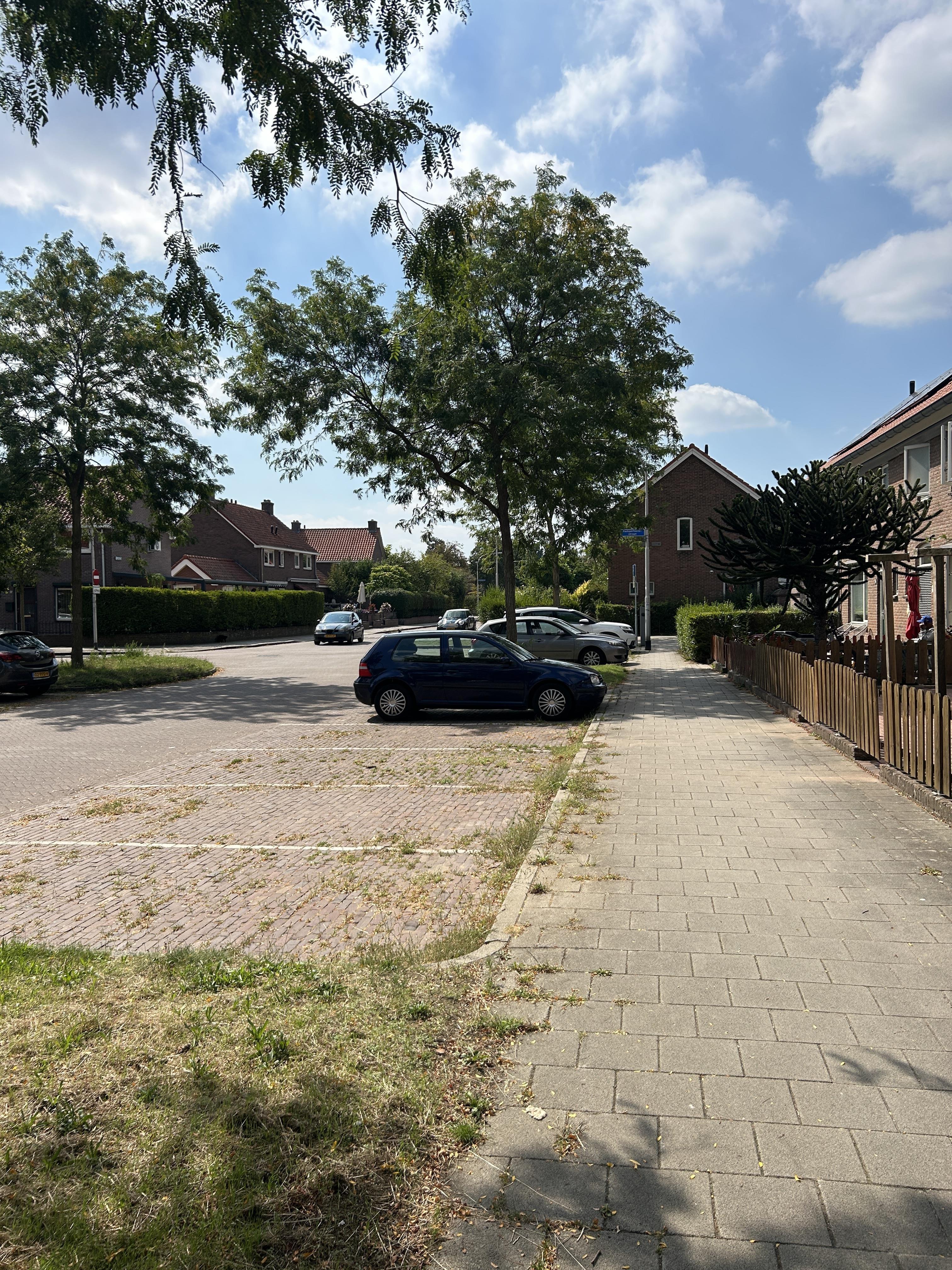 Bosbesstraat 64
