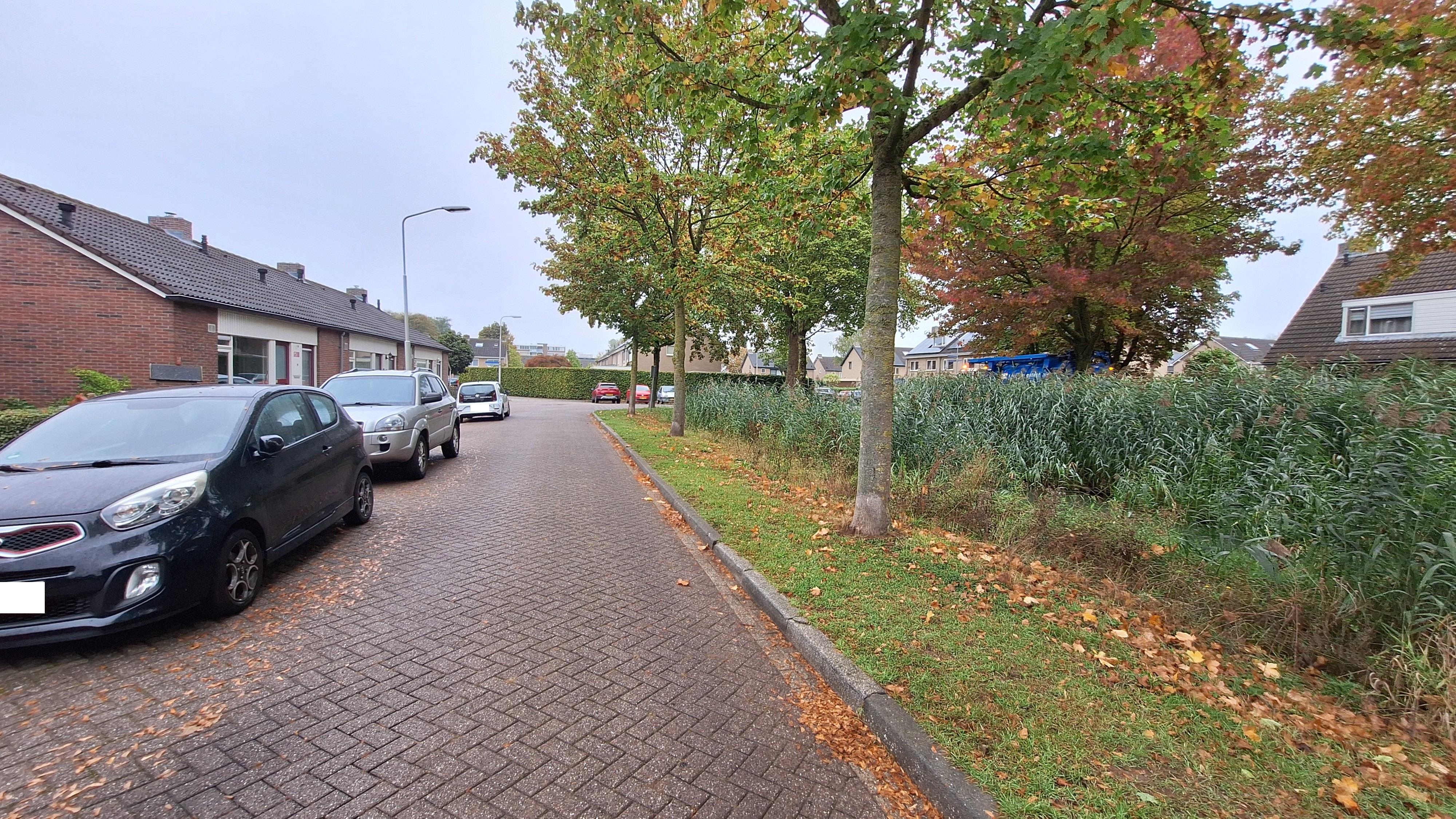 Tuinschouwstraat 8