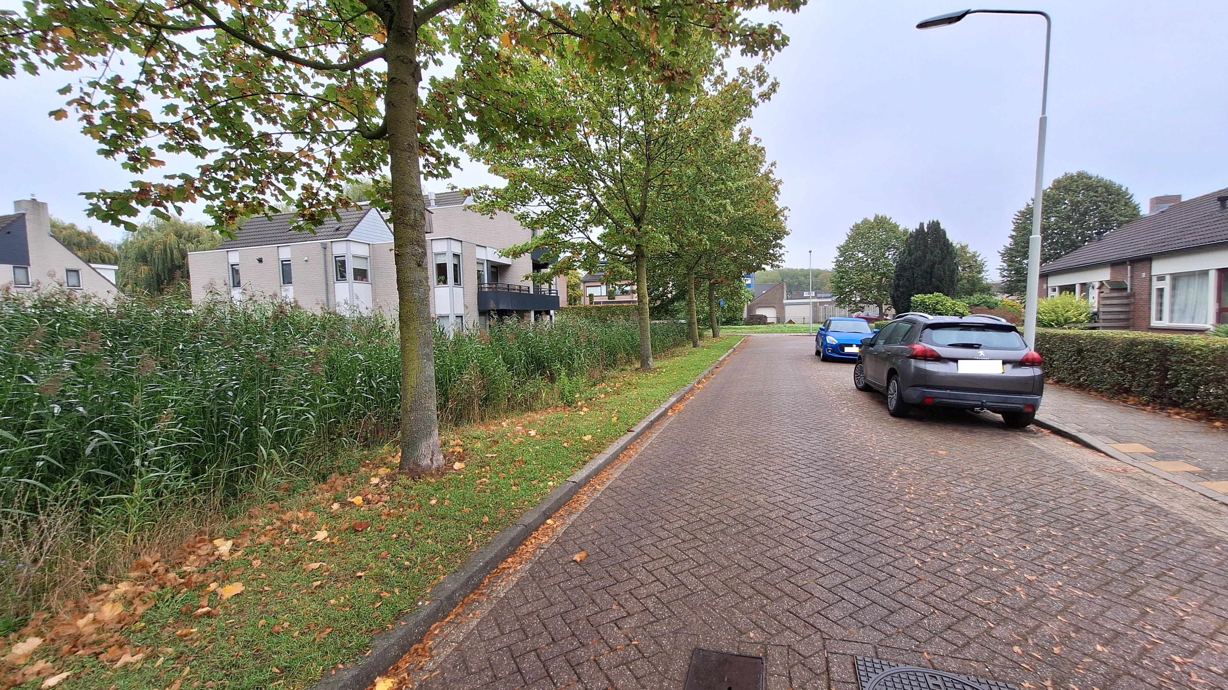Tuinschouwstraat 8